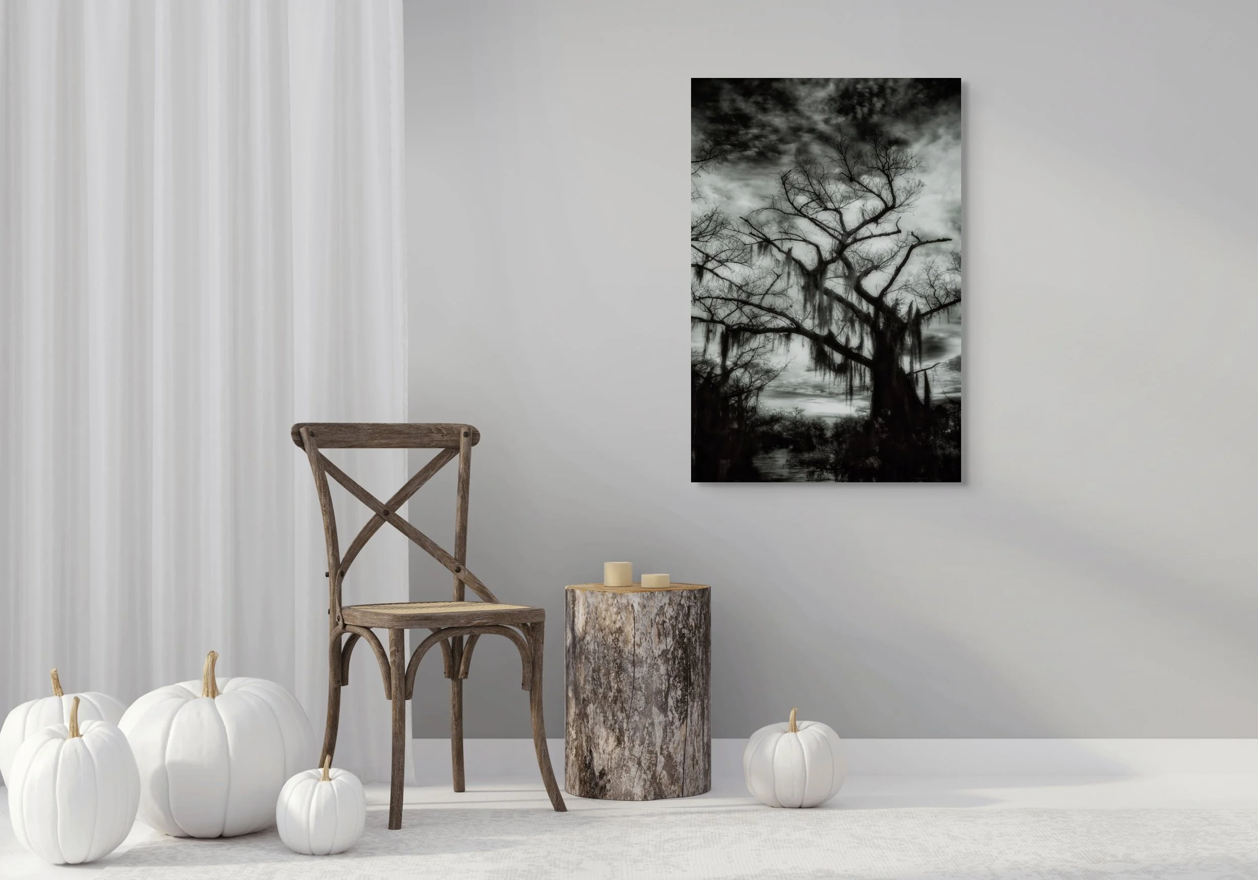 dwi_4873-full (1).jpg