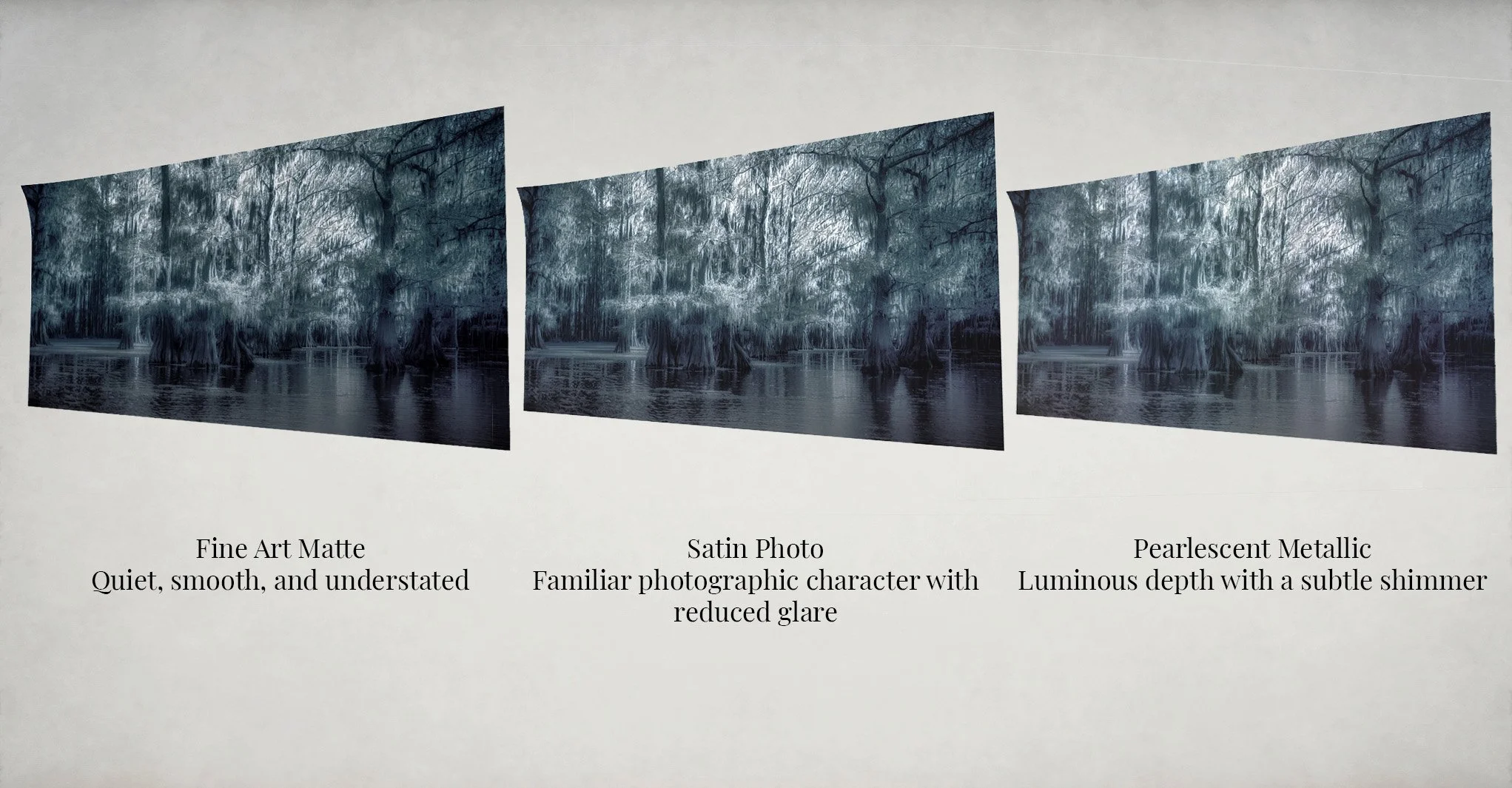 Three angled prints of the same blue-toned infrared cypress swamp photograph, comparing Fine Art Matte, Satin Photo, and Pearlescent Metallic paper finishes.