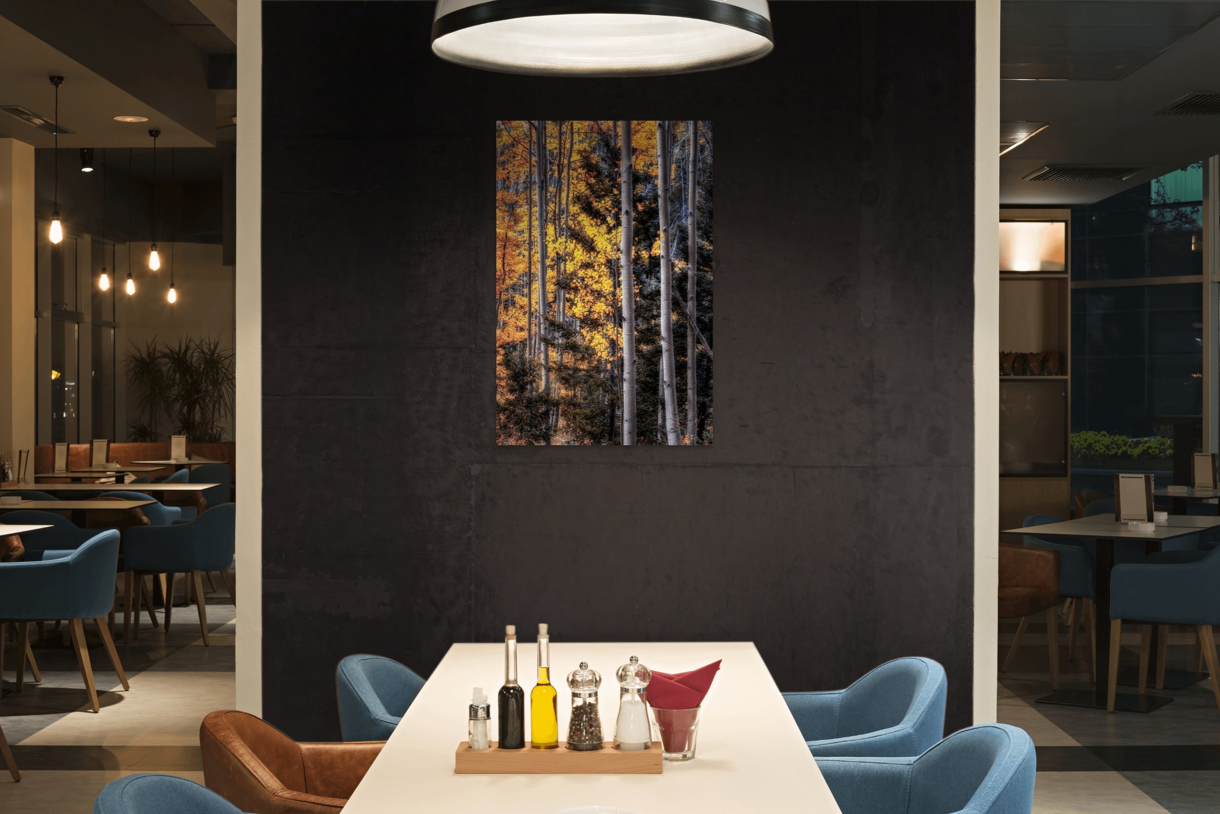 warmth amidst the shadows-full (1).jpg