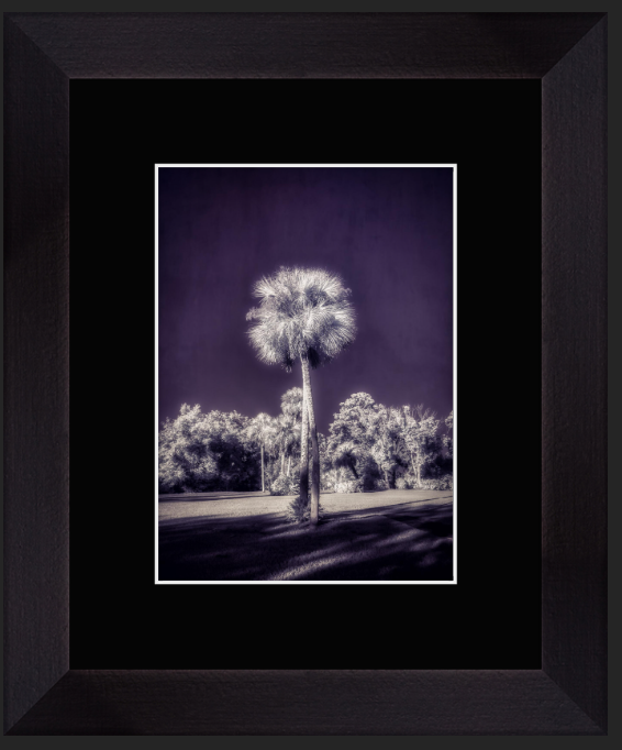 Screenshot 2026-01-27 at 9.14.49 AM.png