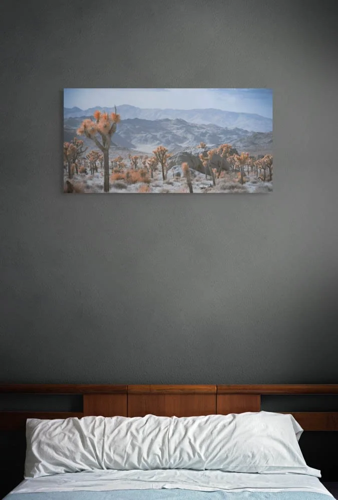 desert's spiky palette-full.jpg