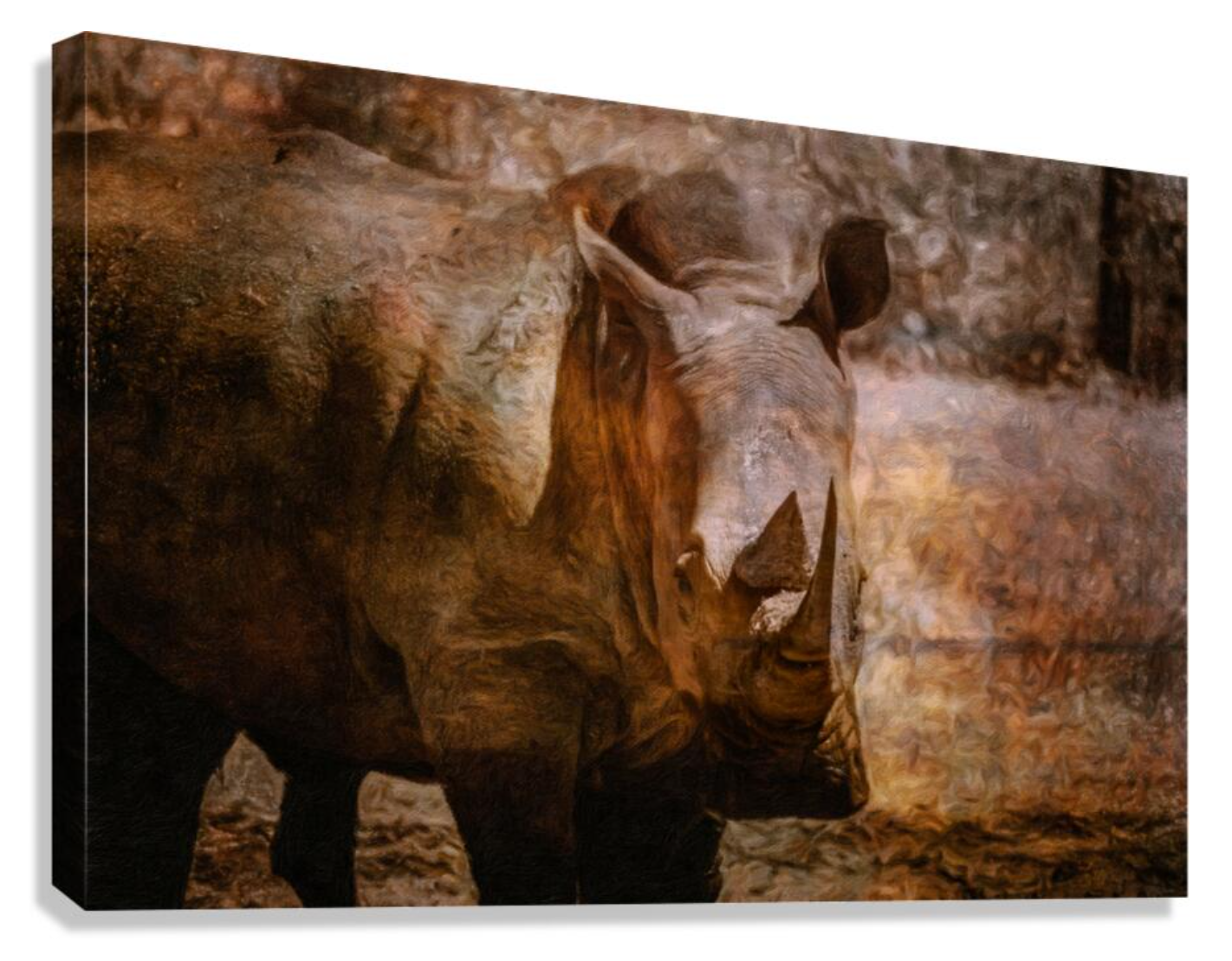 White rhino in warm amber light at The Wilds in Ohio, with its horn catching the sunlight and a painterly texture across the portrait.