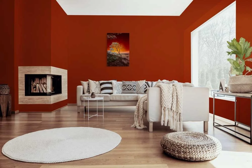 dwi-1712-2597-edit-ruby bonsai- a botanical marvel unveiled on driftwood beach-full (1).jpg