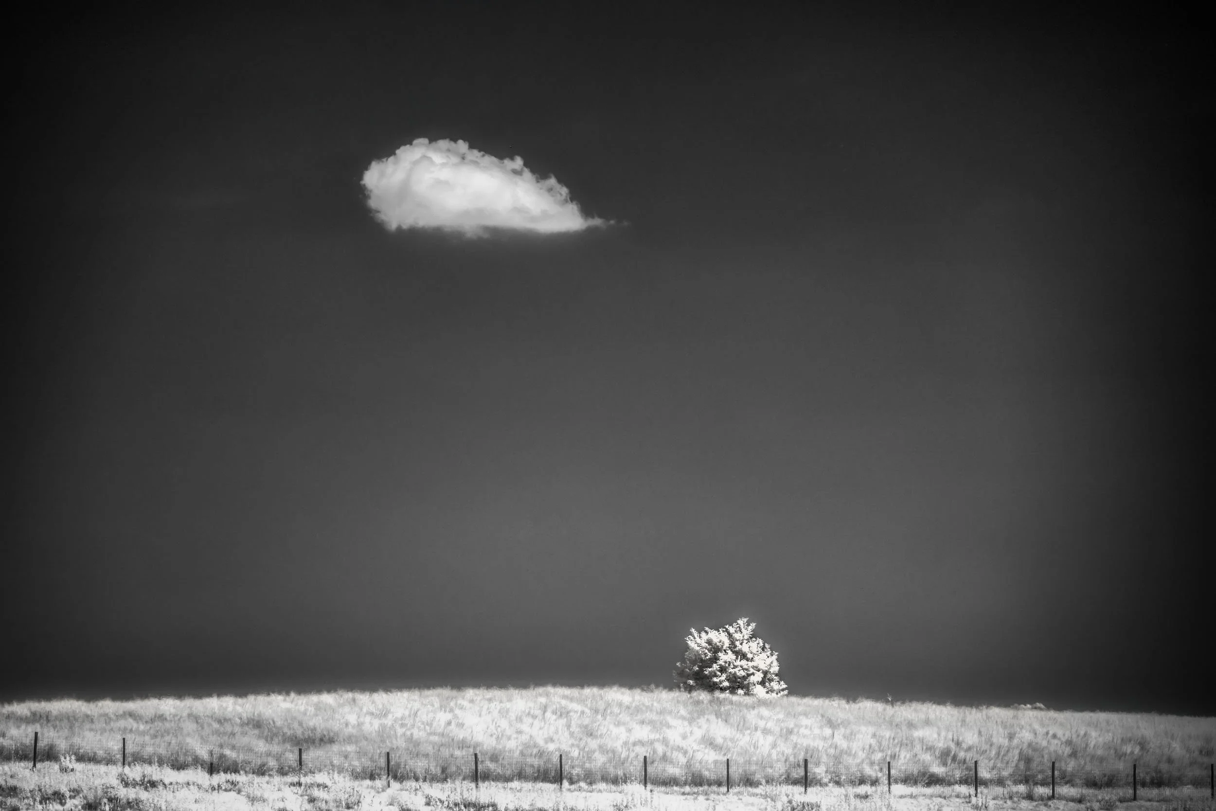 A Quiet Correspondence — A solitary tree rests beneath a passing cloud, distance and darkness quietly bound together.