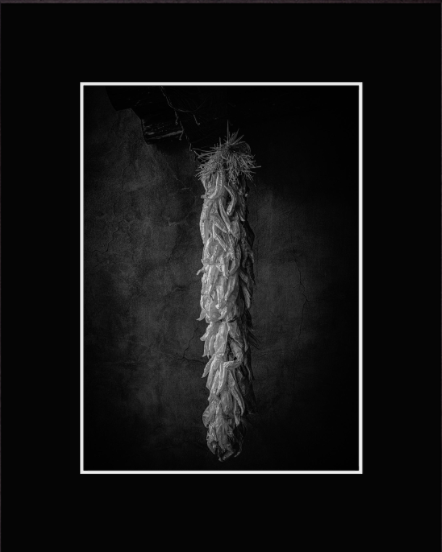 Screenshot 2026-02-17 at 11.05.12 AM.png