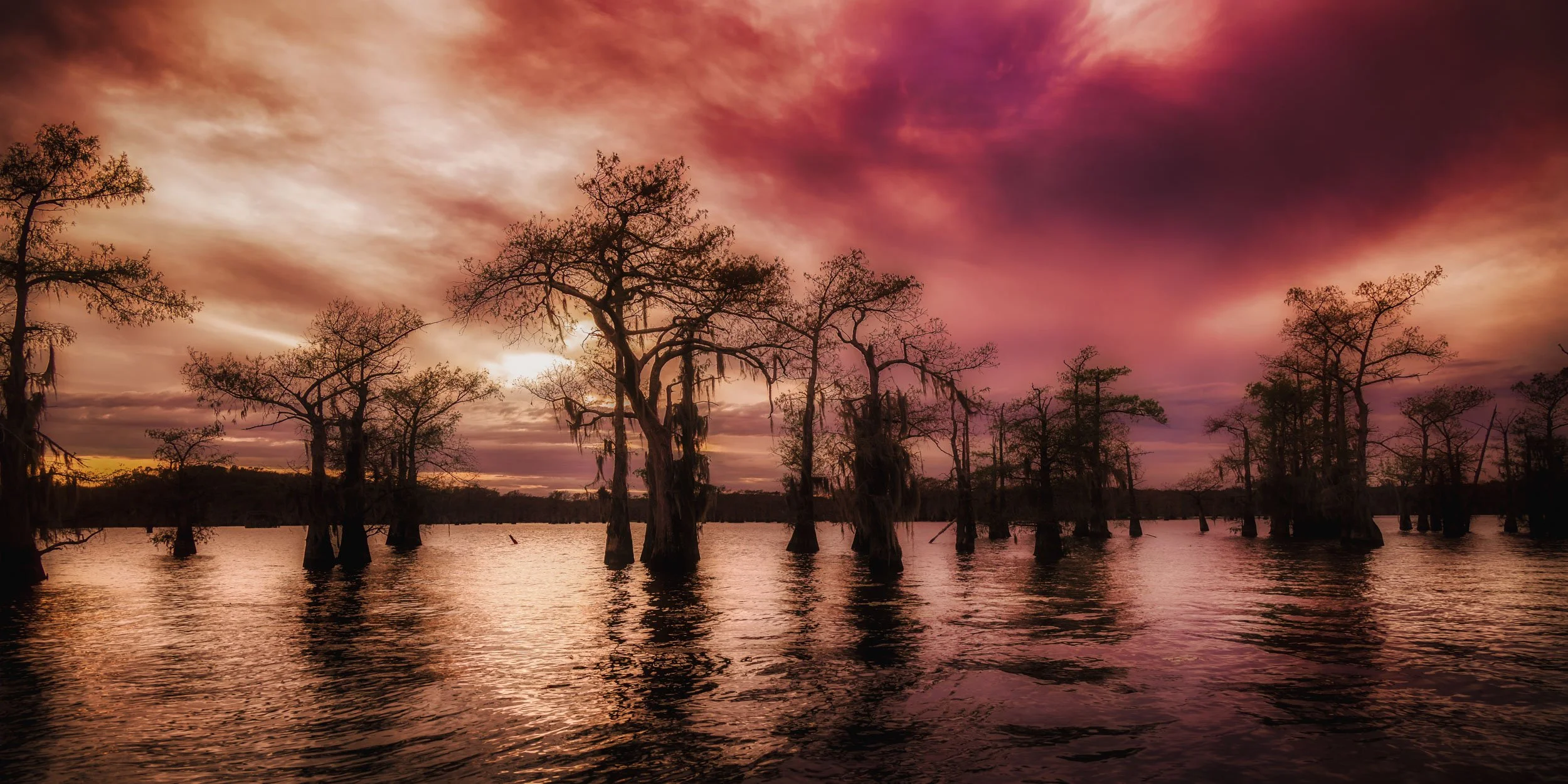 Twilight's Last Whisper — Cypress trees stand in silhouette against a Caddo Lake sky of lavender and rose, mirrored in glass-still water.