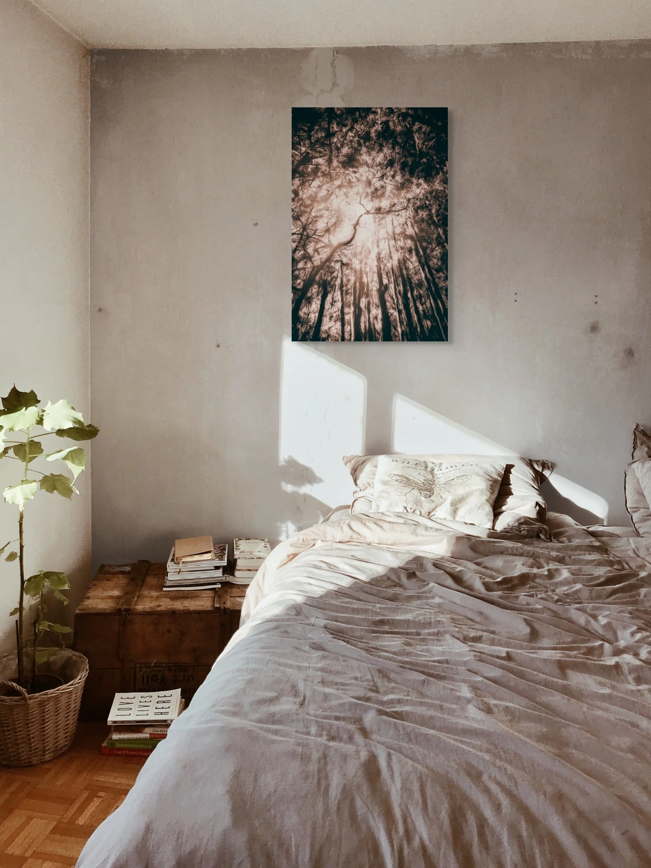 dwi_4566-full (1).jpg