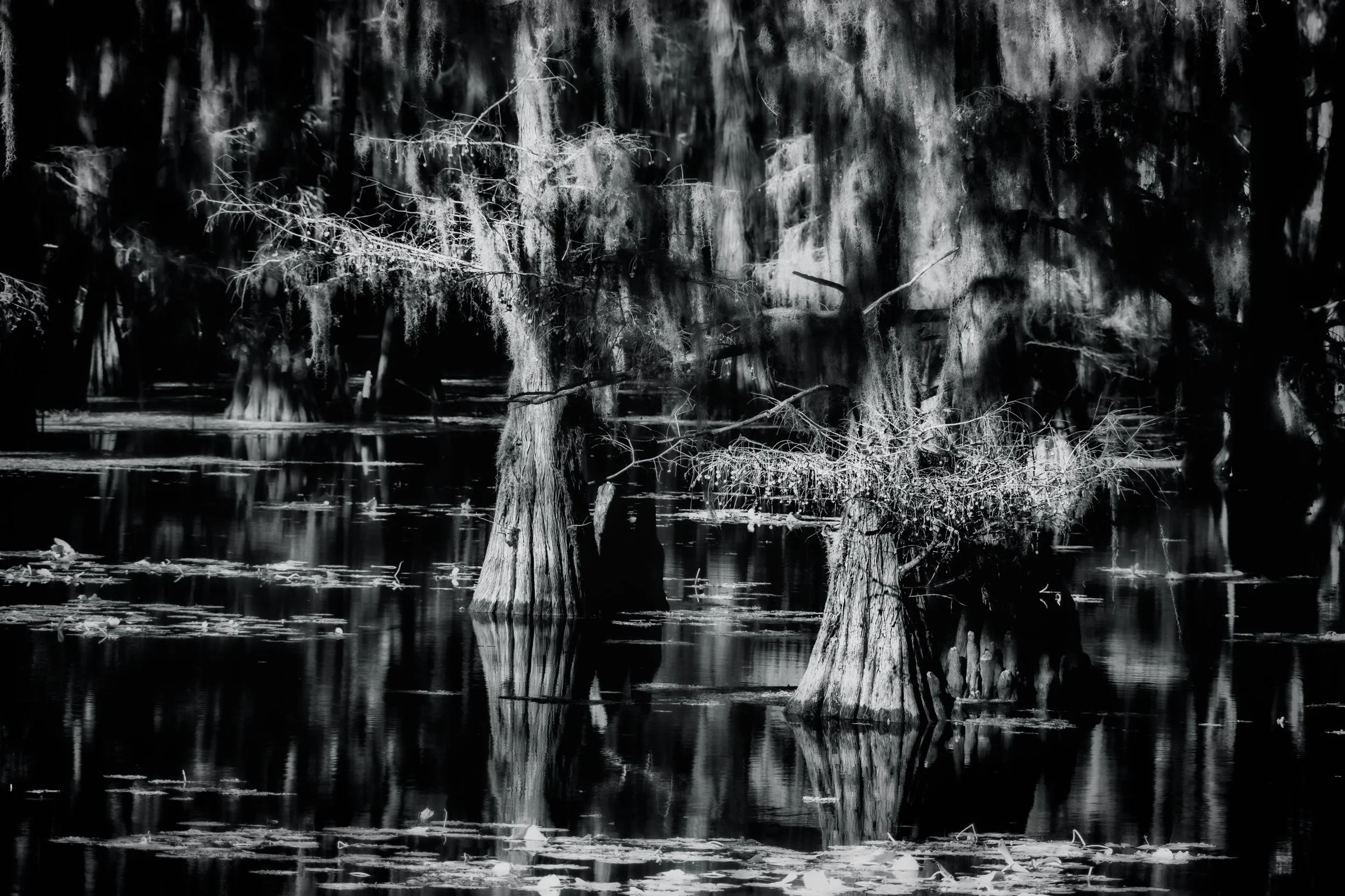 DWI_4615-Edit.jpg