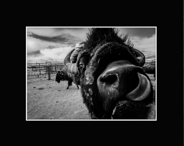 Screenshot 2026-01-27 at 9.15.38 AM.png