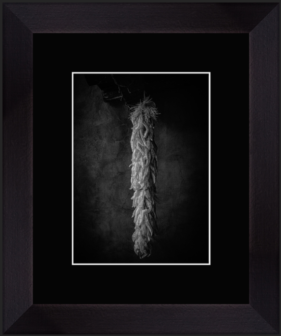 Screenshot 2026-02-17 at 11.05.04 AM.png