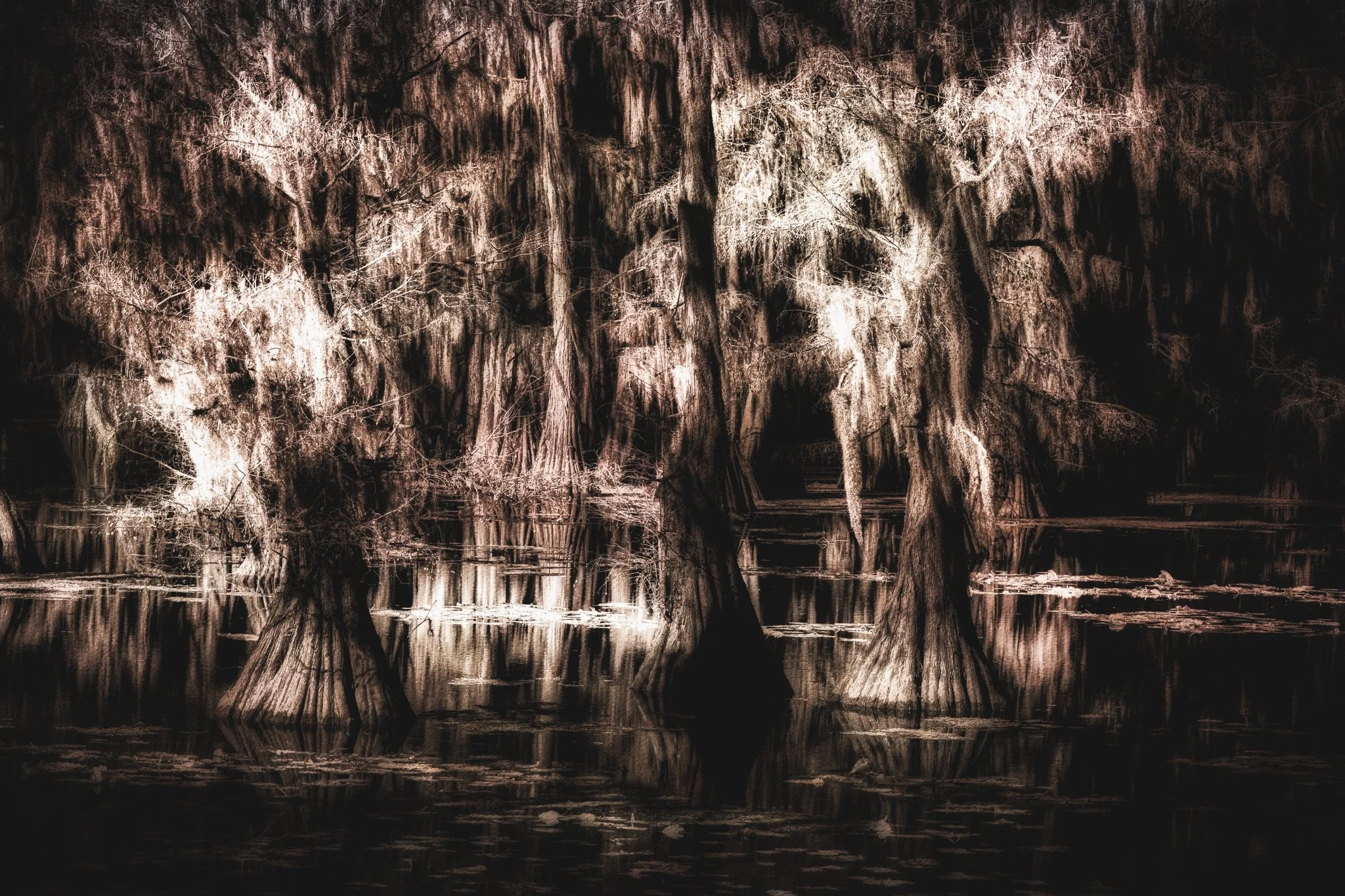 The Light Between Worlds