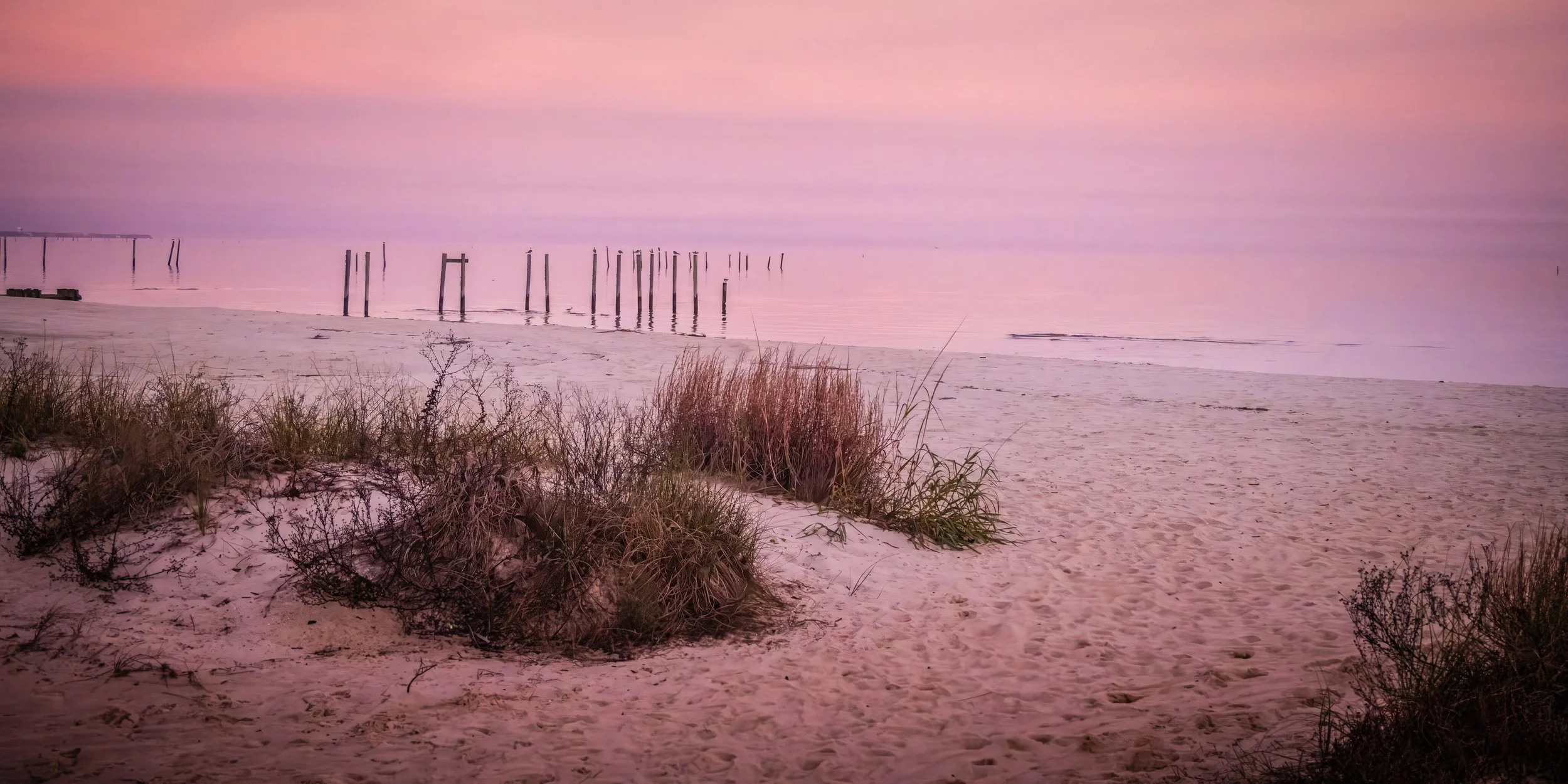 Shoreline Whispers
