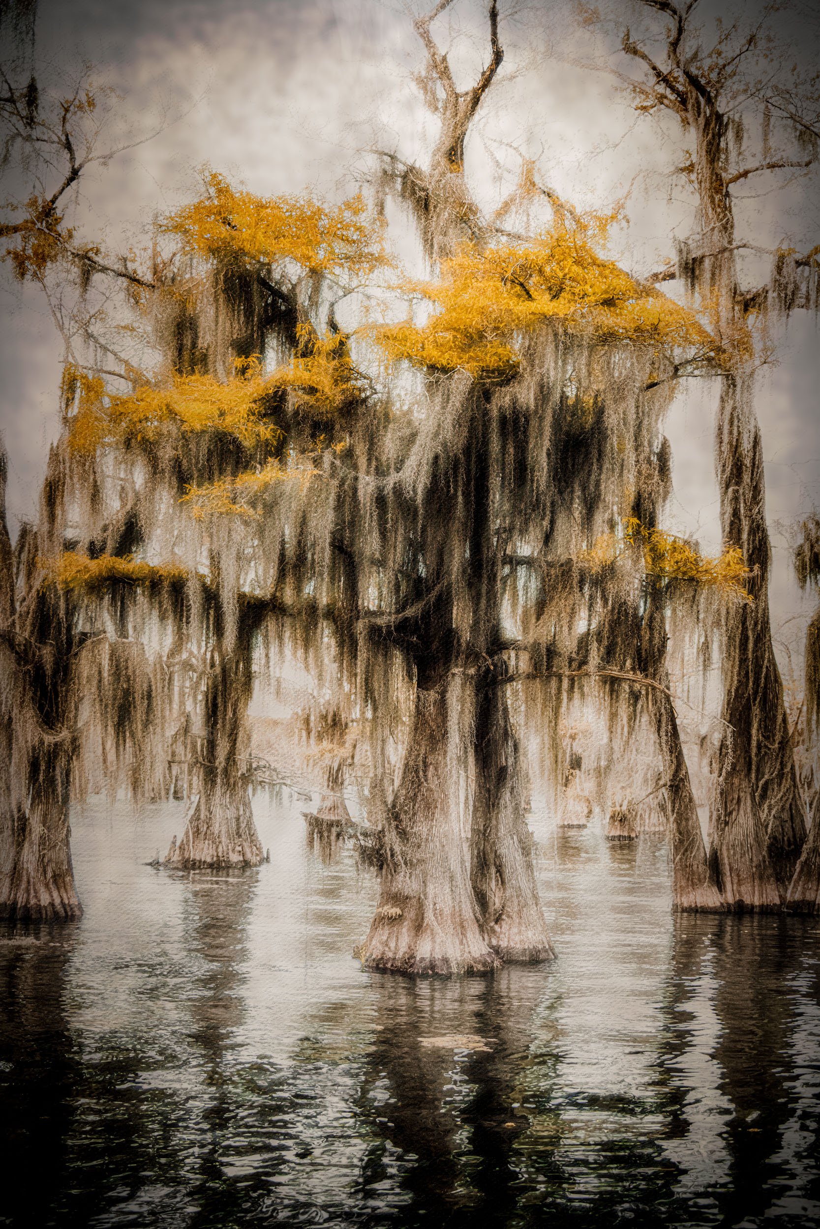 Crown of Autumn's Memory — A cypress tree draped in golden moss stands crowned in a flooded forest, its reflection shimmering in dark water.