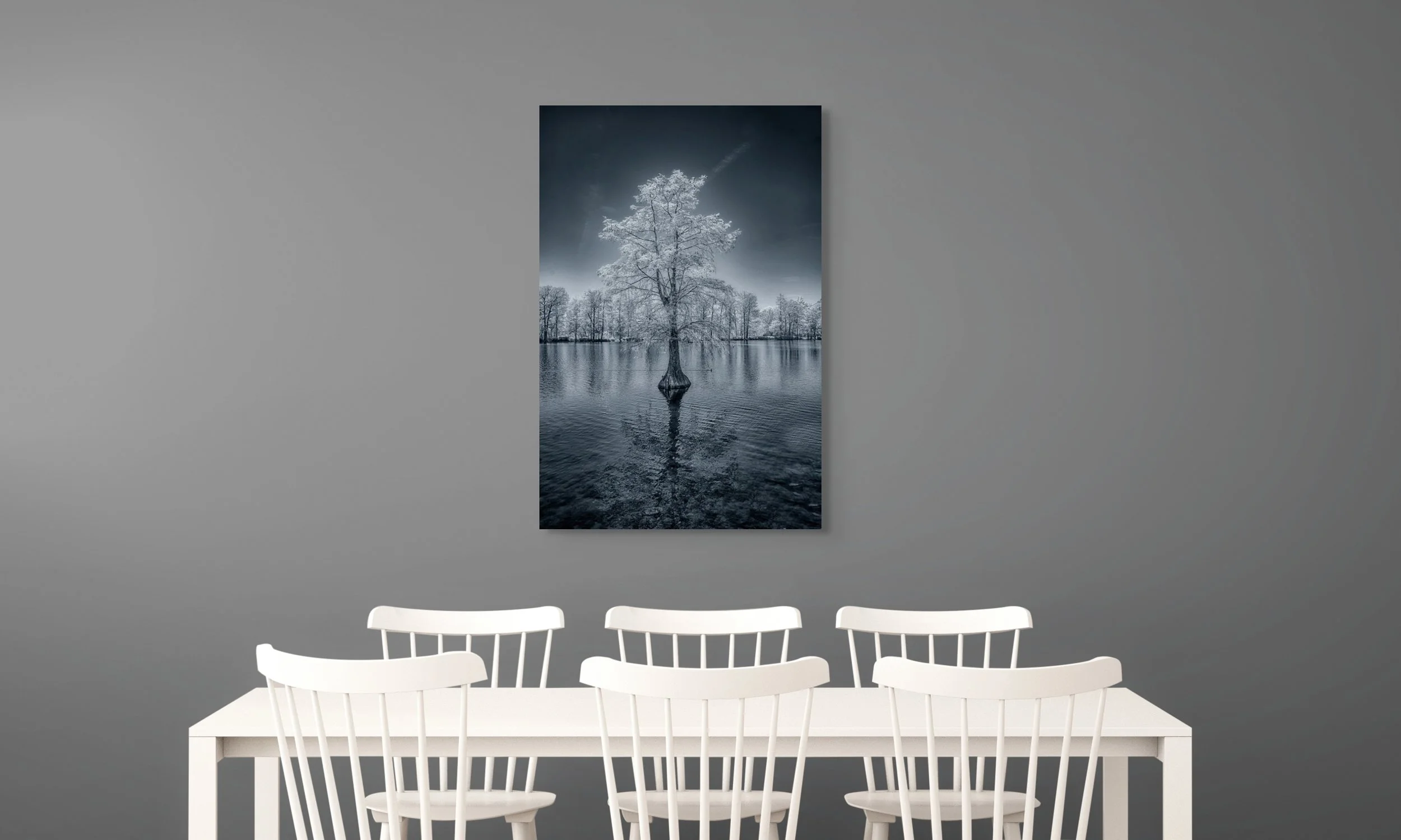 lone sentinel-full (1).jpg