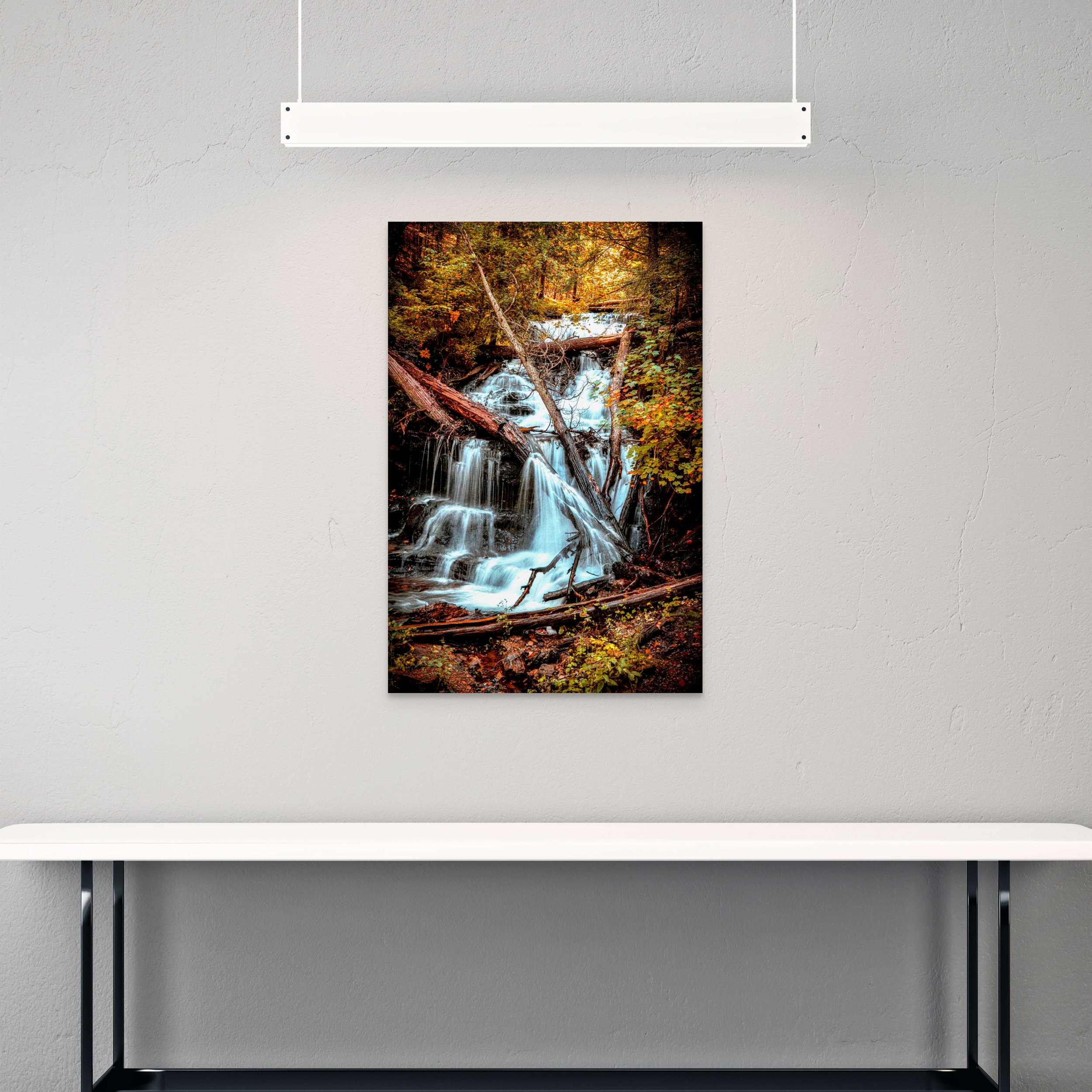 dwi_4086-edit-full (1).jpg