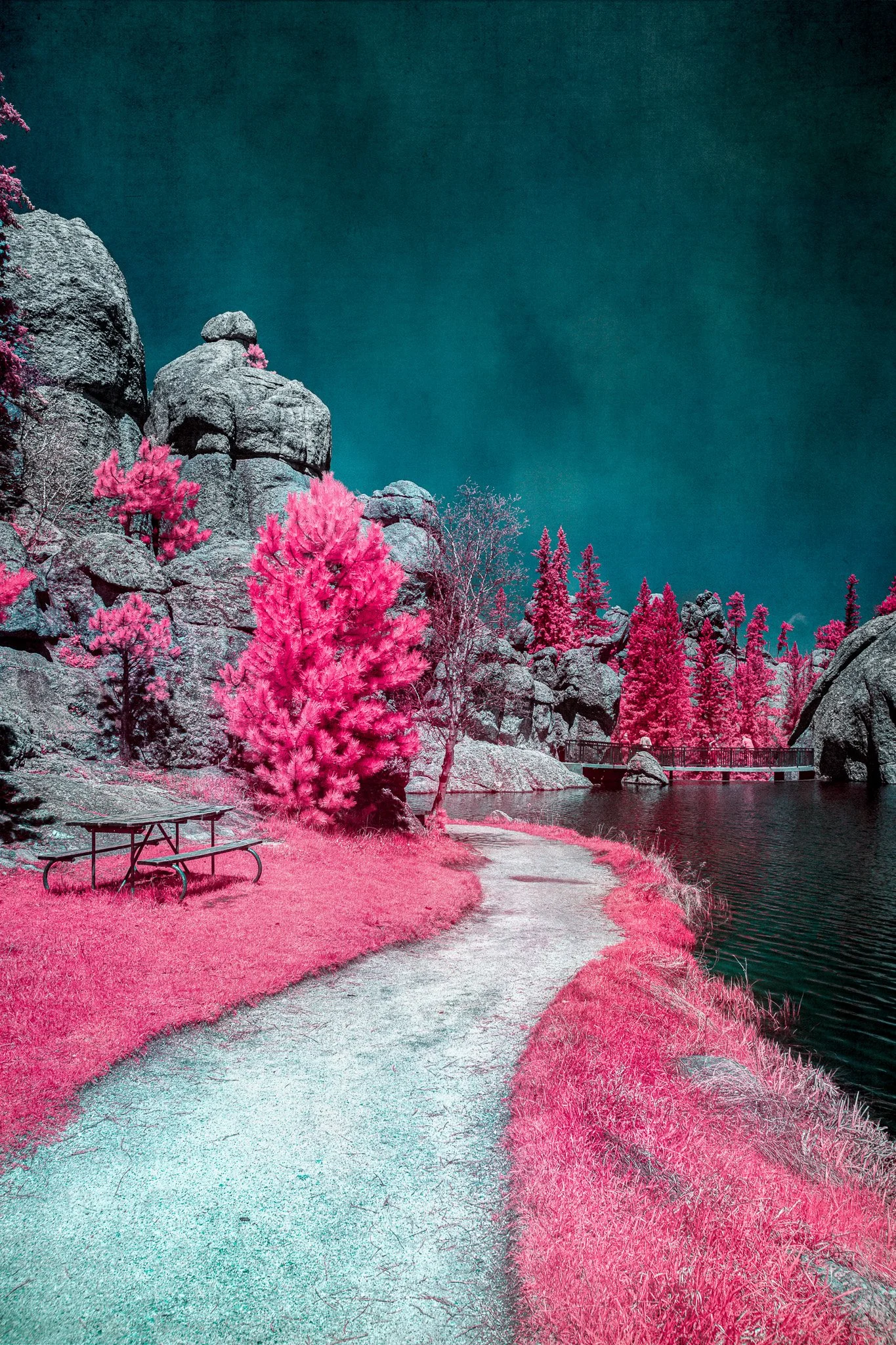 DWI-1583-0523-Solitary Trails- Pink Serene Trail.jpg
