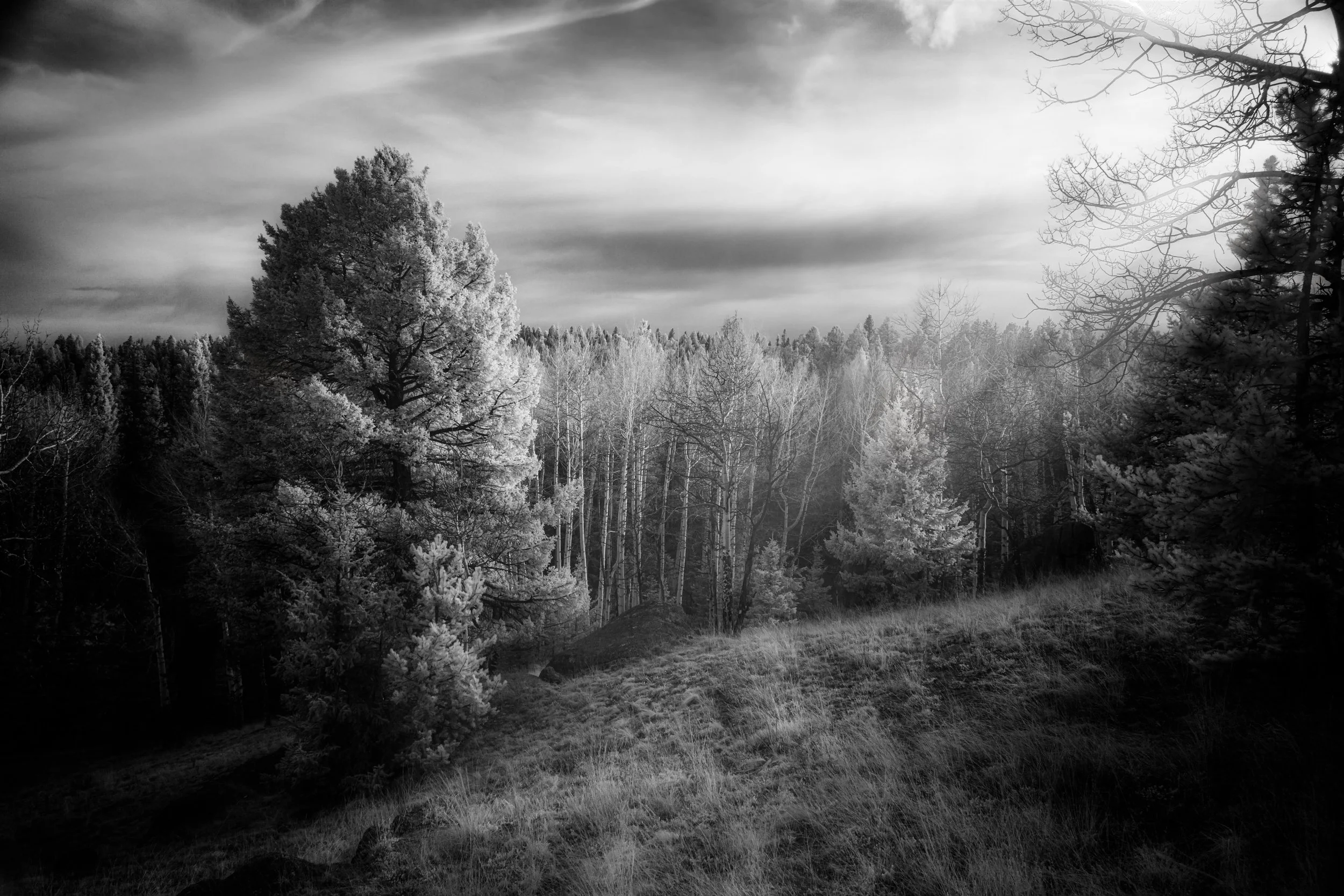 DWI-0203-Edit.jpg