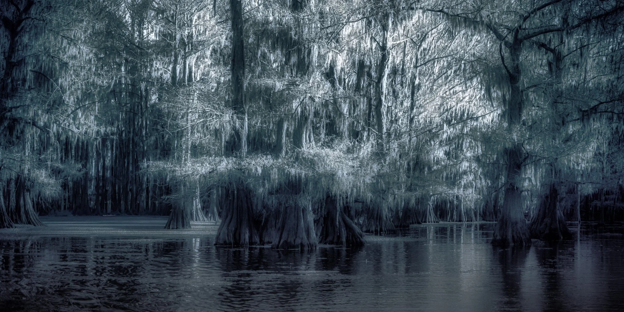 Twilight Between Worlds