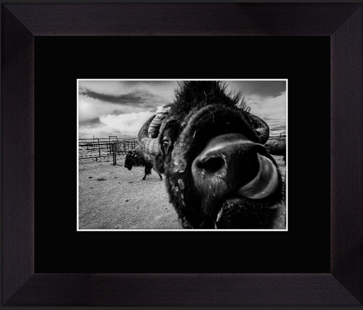 Screenshot 2026-01-27 at 9.15.27 AM.png