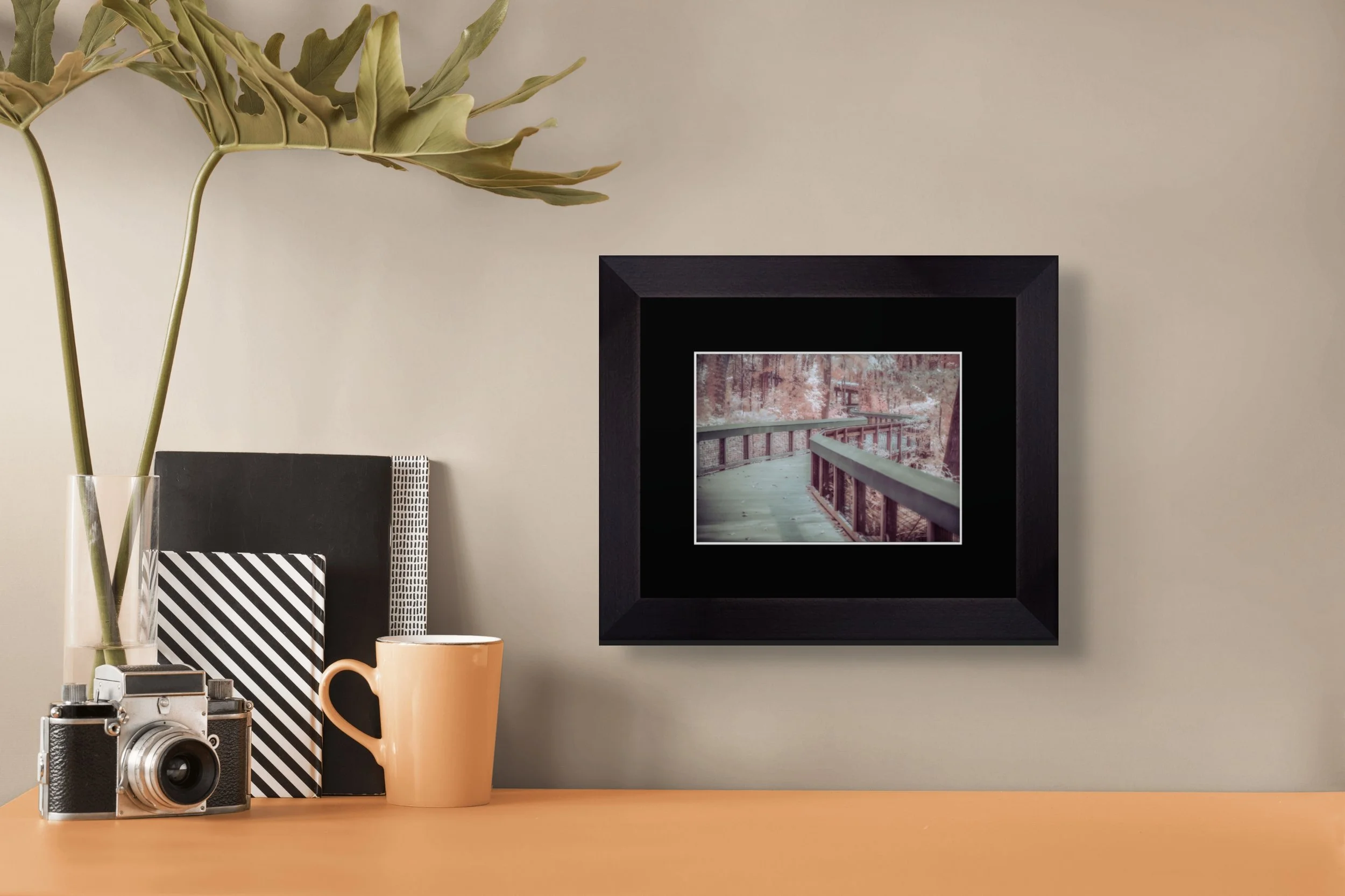 screenshot 2026-01-27 at 9.06.24am-full.jpg