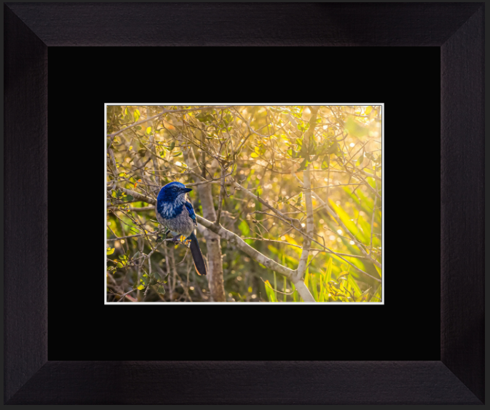 Screenshot 2026-02-17 at 11.28.05 AM.png