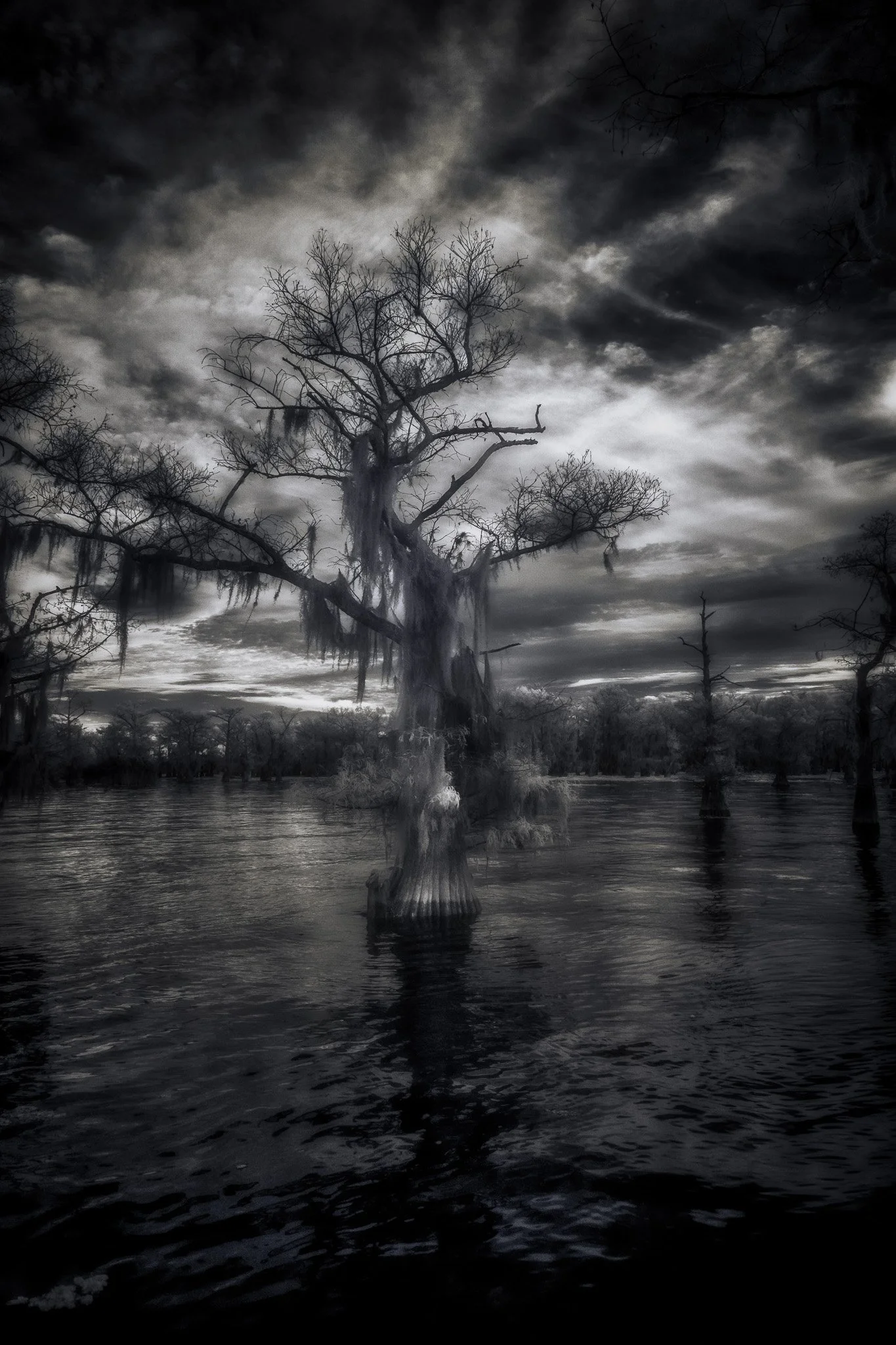Oracle of the Flooded Forest
