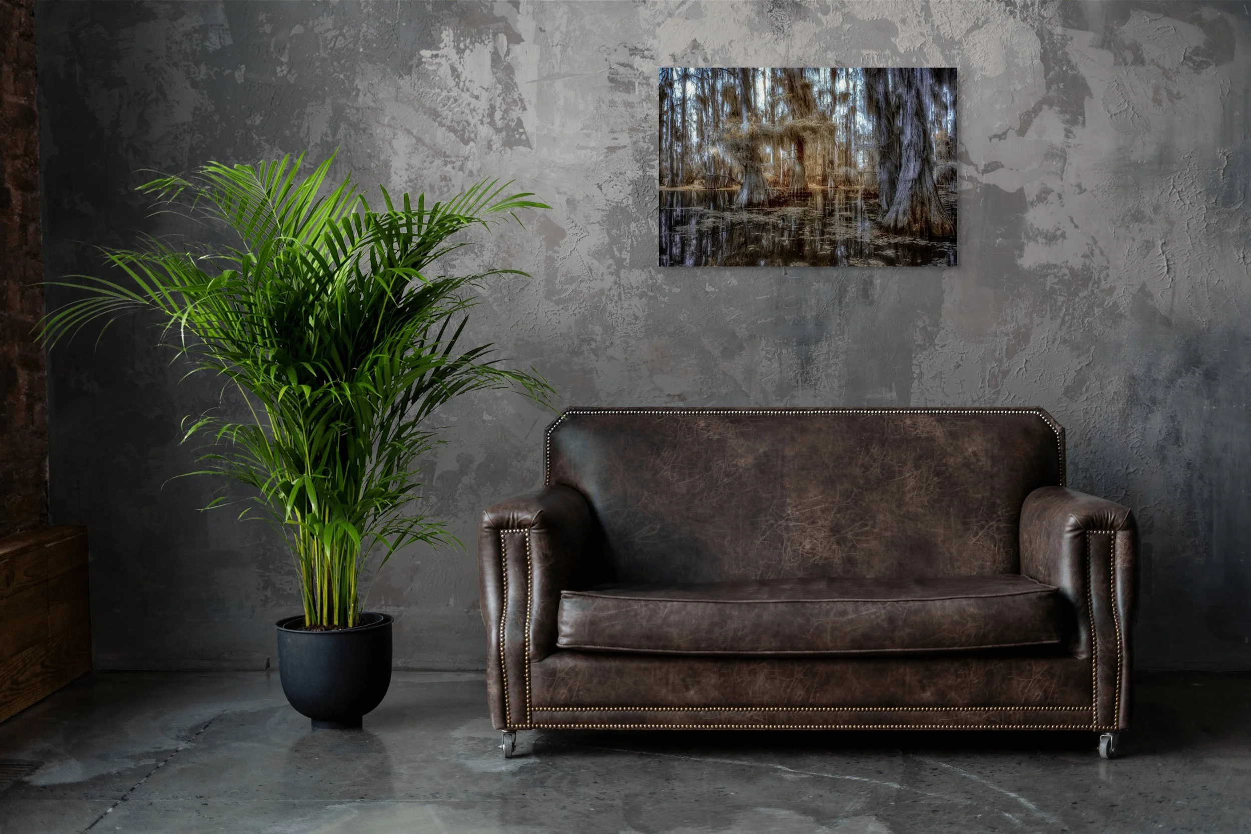 dwi_4743-edit-full (1).jpg