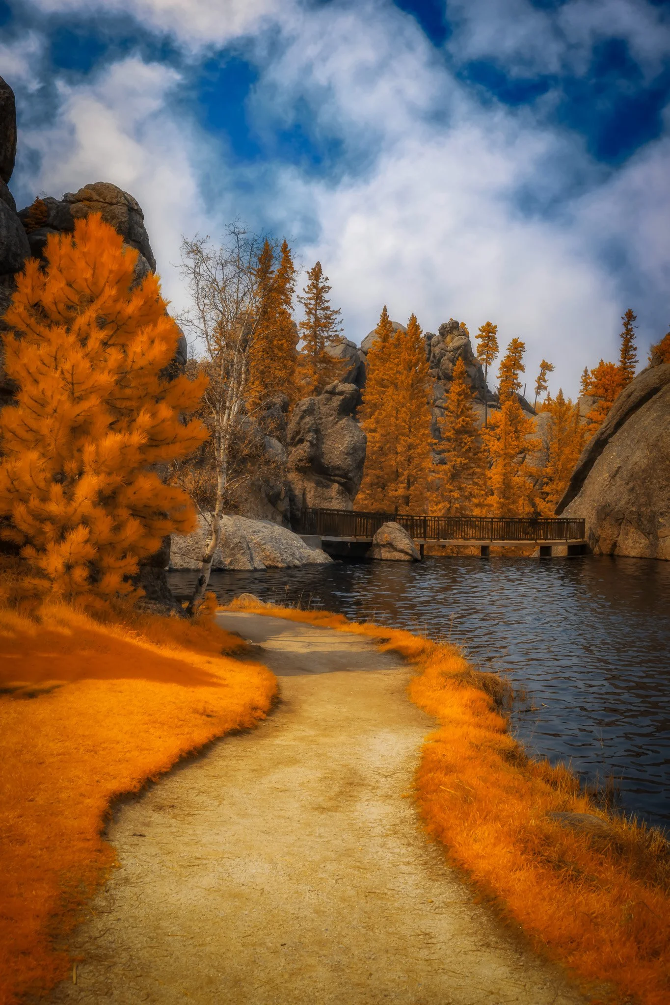 DWI-2096-0523-197-Autumnal Serenity- Sylvan Lake Path in Infrared.jpg