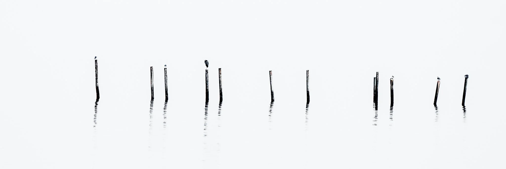 Marks Left on Silence