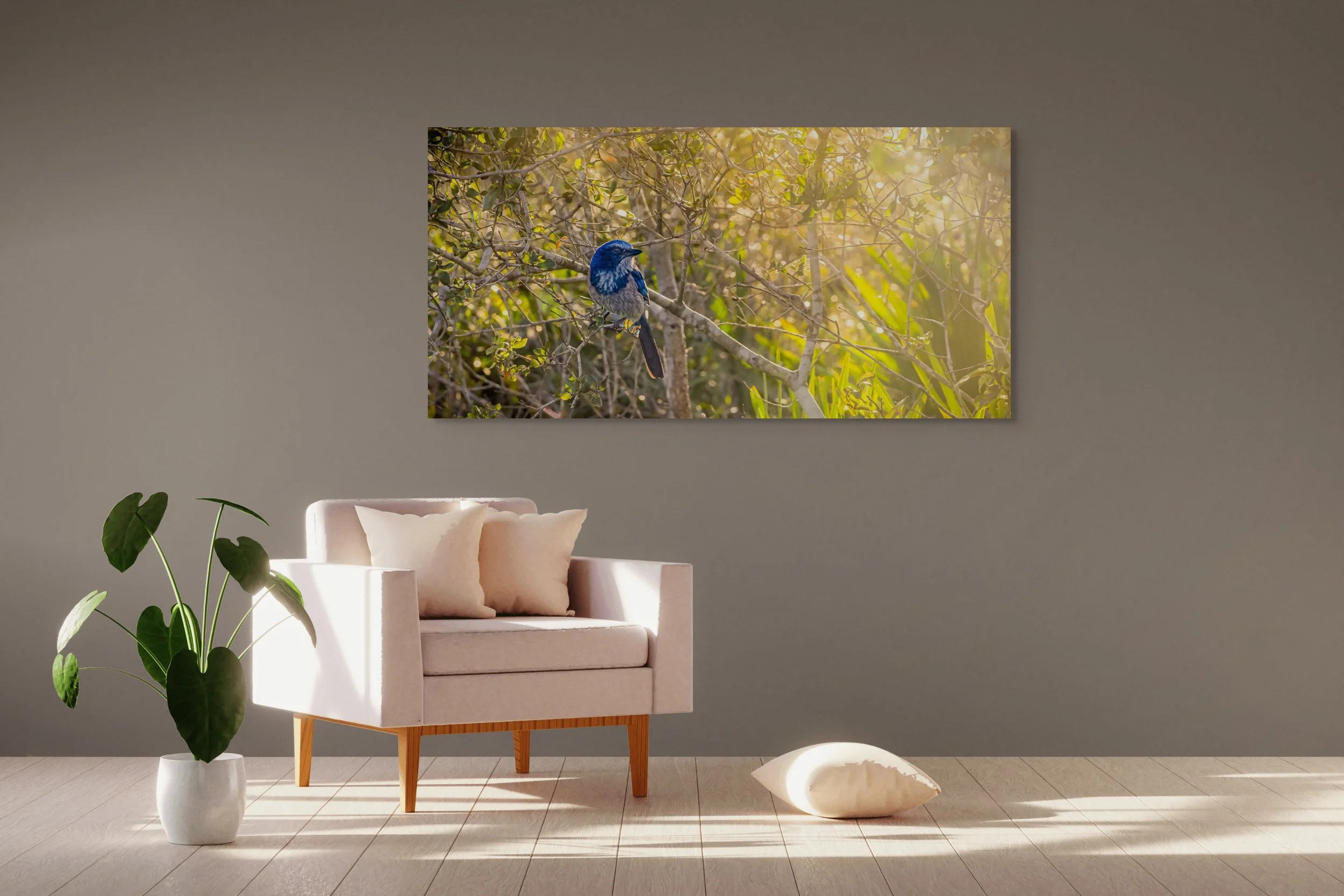 dwi_6065-edit-a feathery connection- bluebird serendipity-full (2).jpg