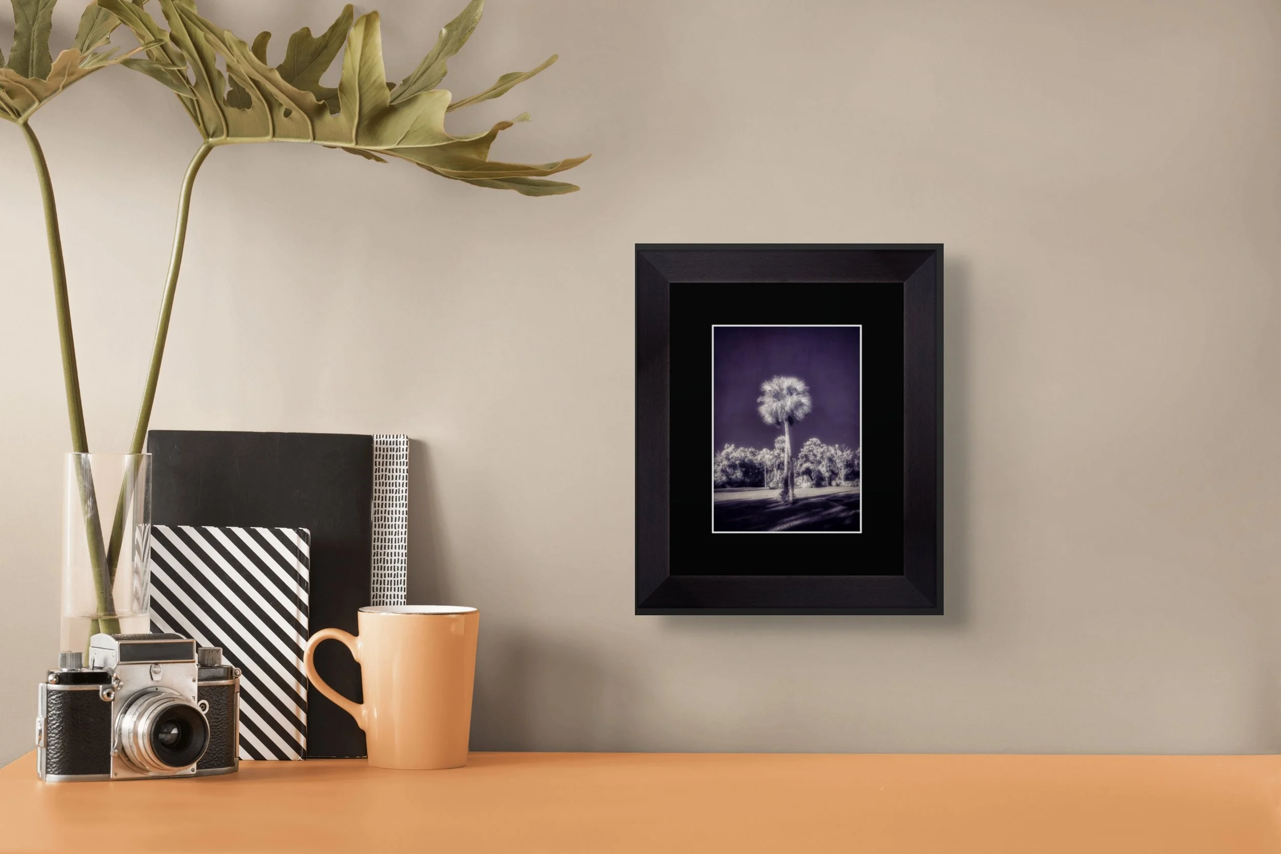 screenshot 2026-01-27 at 9.14.49am-full.jpg