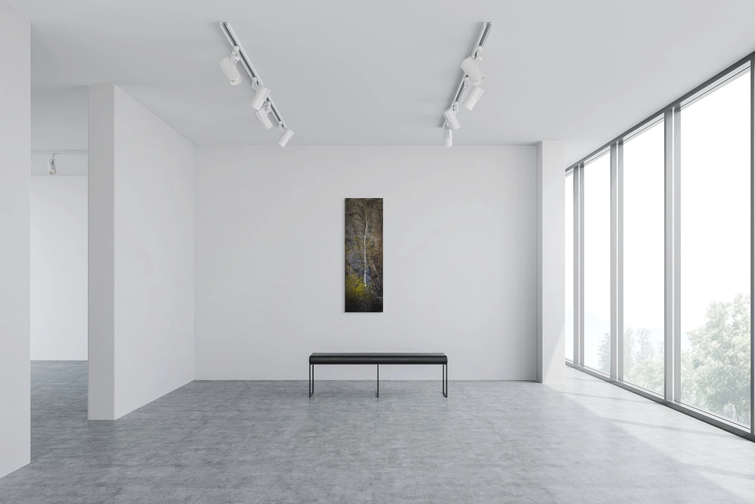 dwi-2795-0523-pano-sylvan lake wonders- the tall aspen behind the lake-2-full (3).jpg