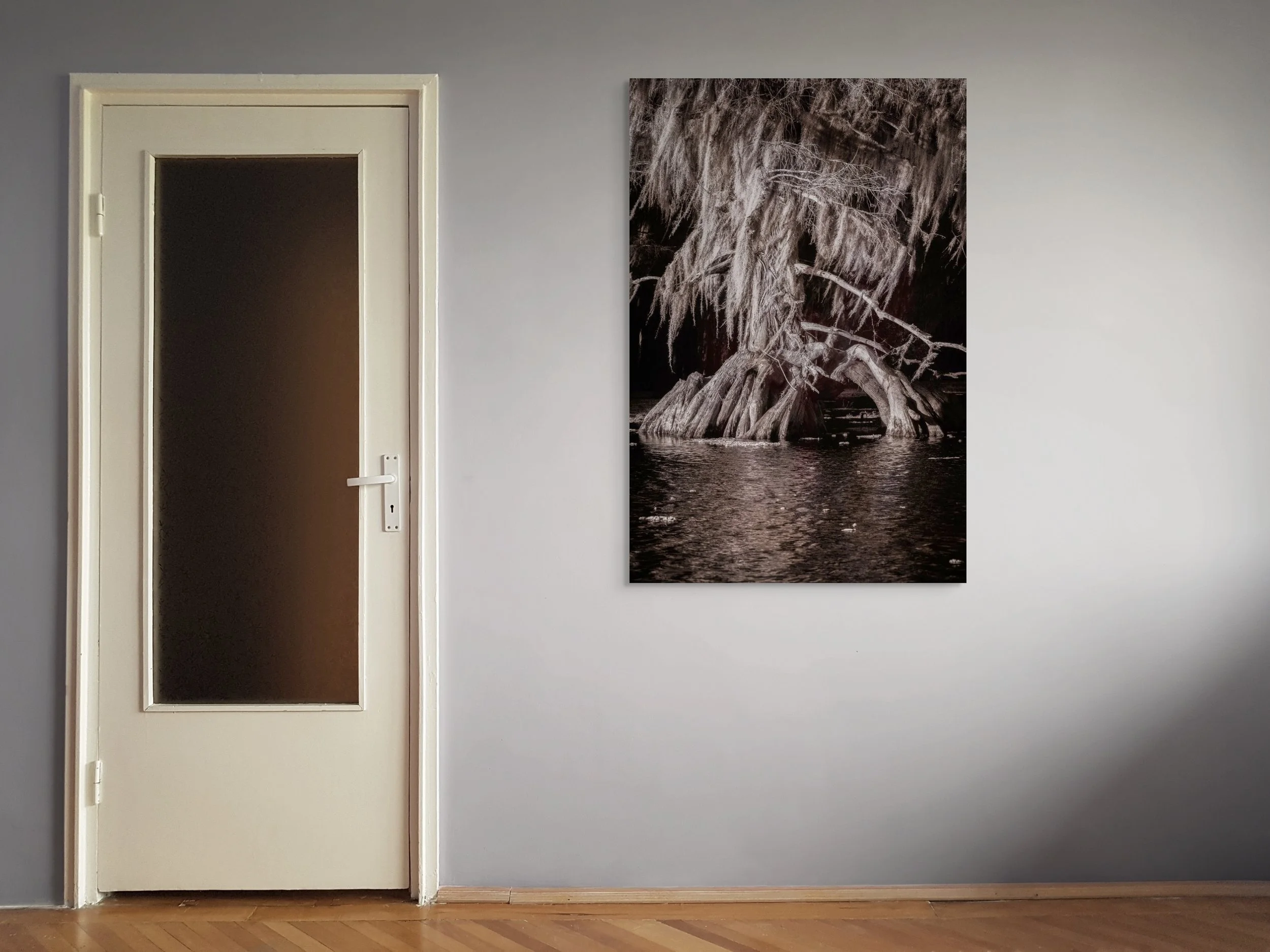 Sentinel of the Swamp