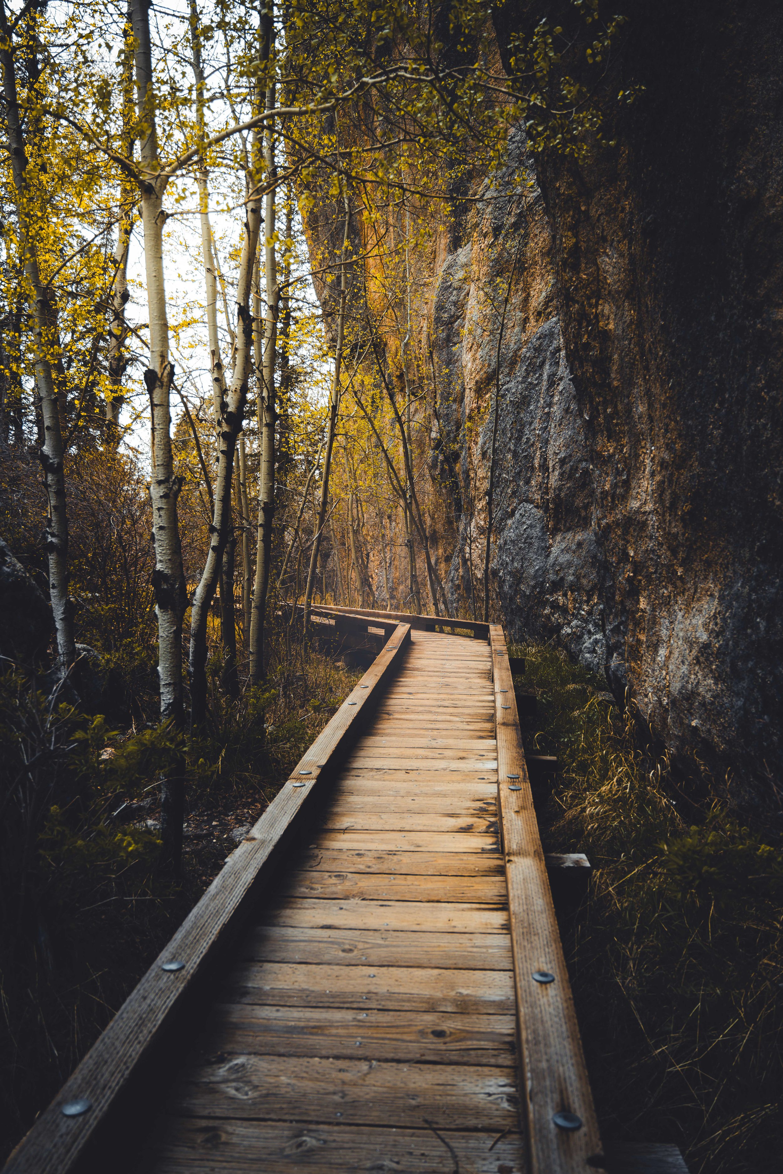 Wooden Trail Serenity