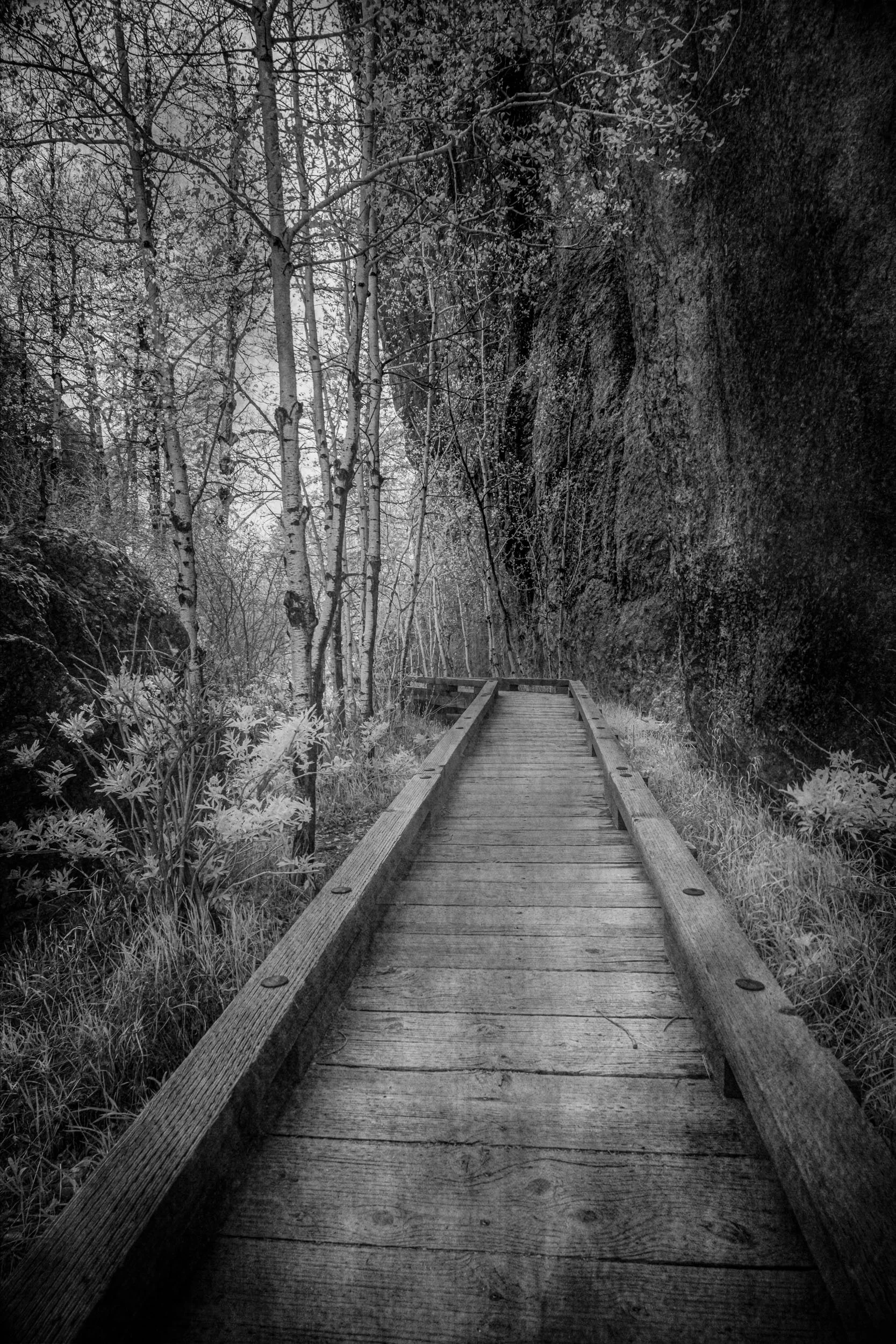 Sylvan Lake Wooden Trail — A wooden boardwalk curves toward misty distance, a rock wall on one side and leaning aspens on the other.