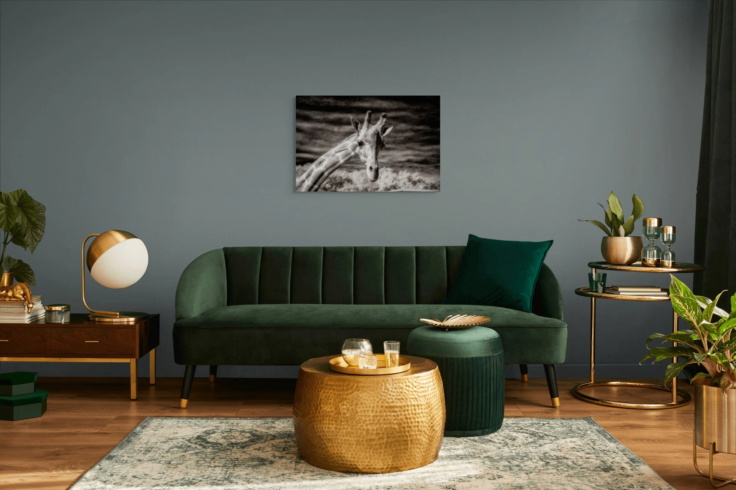 dwi_5295-edit-full (2).jpg