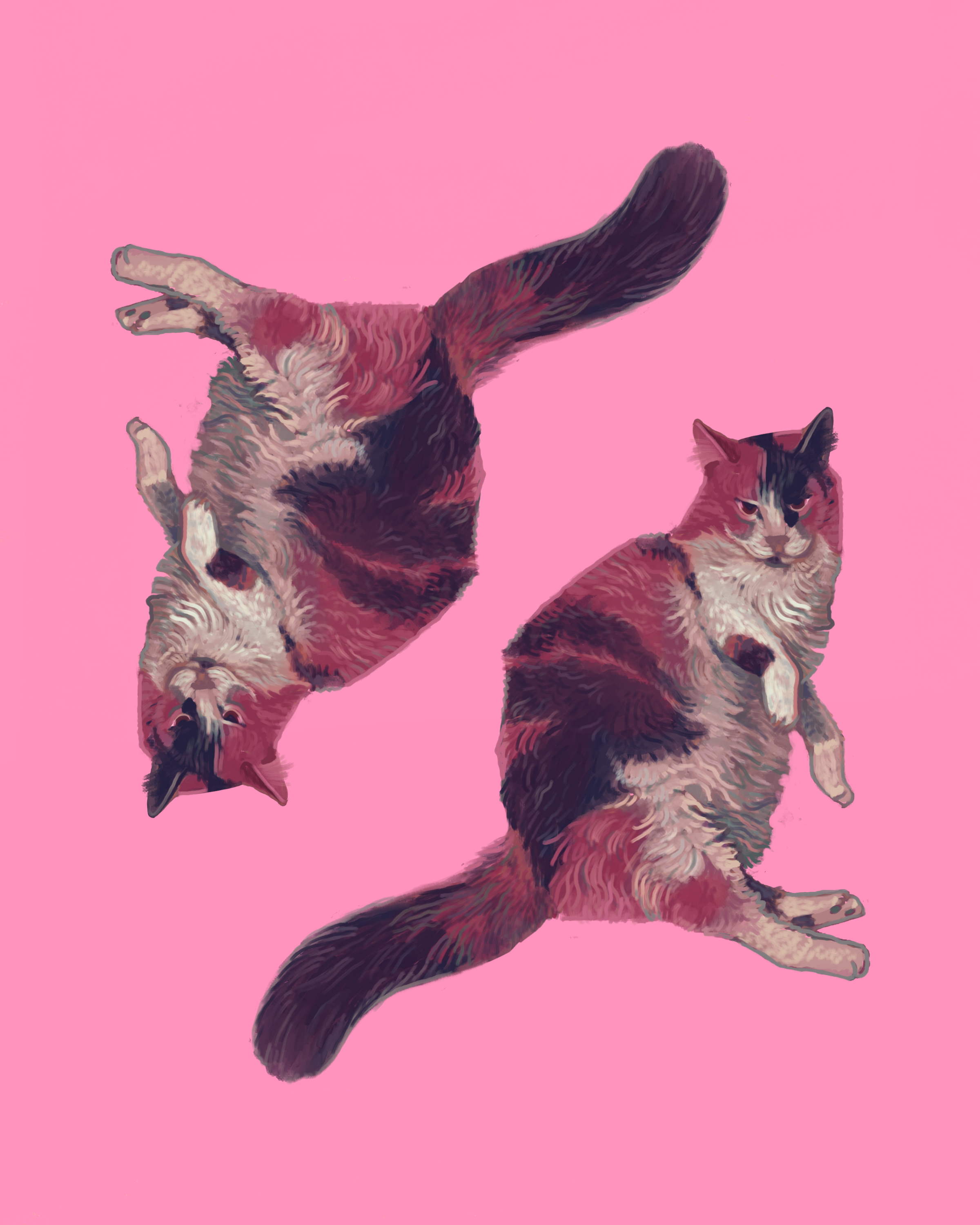 Digital illustration of two cats against a pink background, one lying upside down and the other sitting upright.