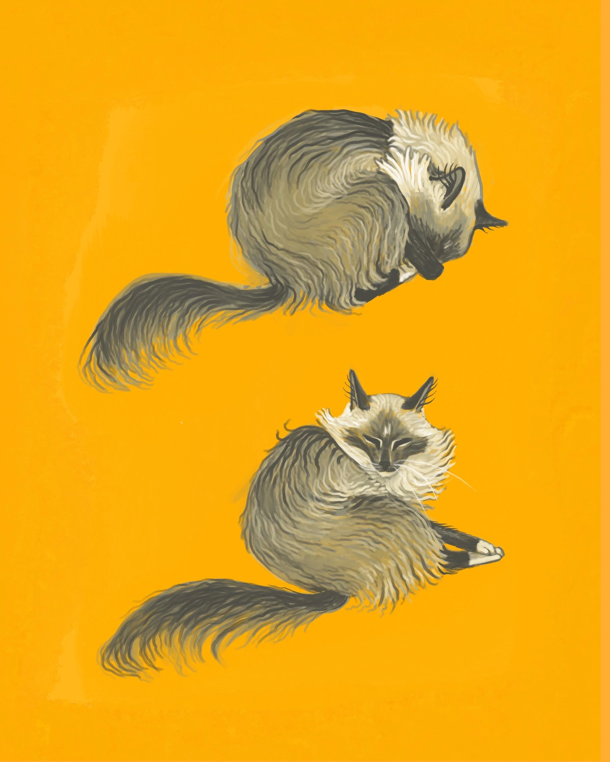 Pet Portraits - Digital Delivery!