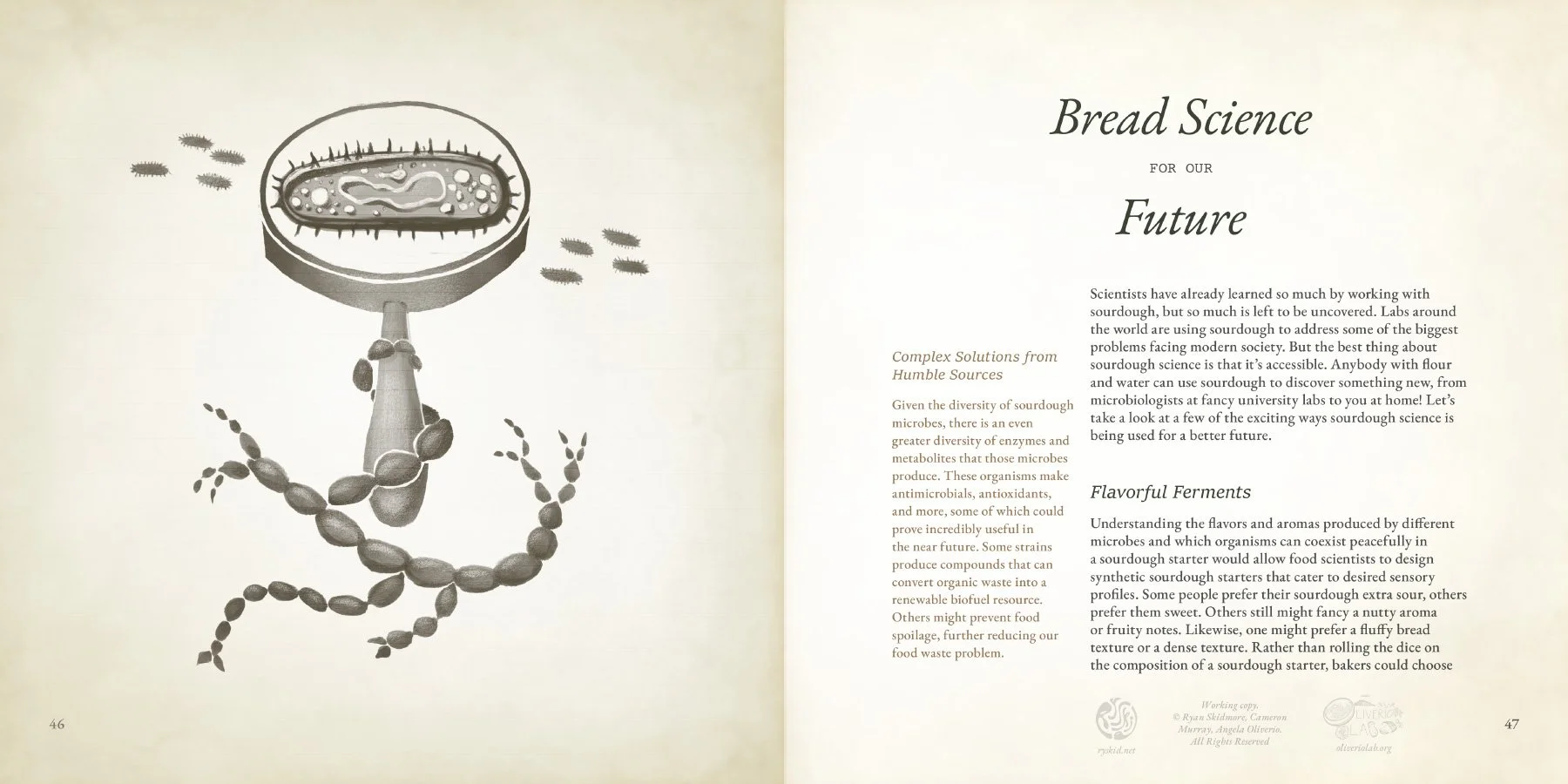 WATERMARKED low res-11 bread of the futures.jpg