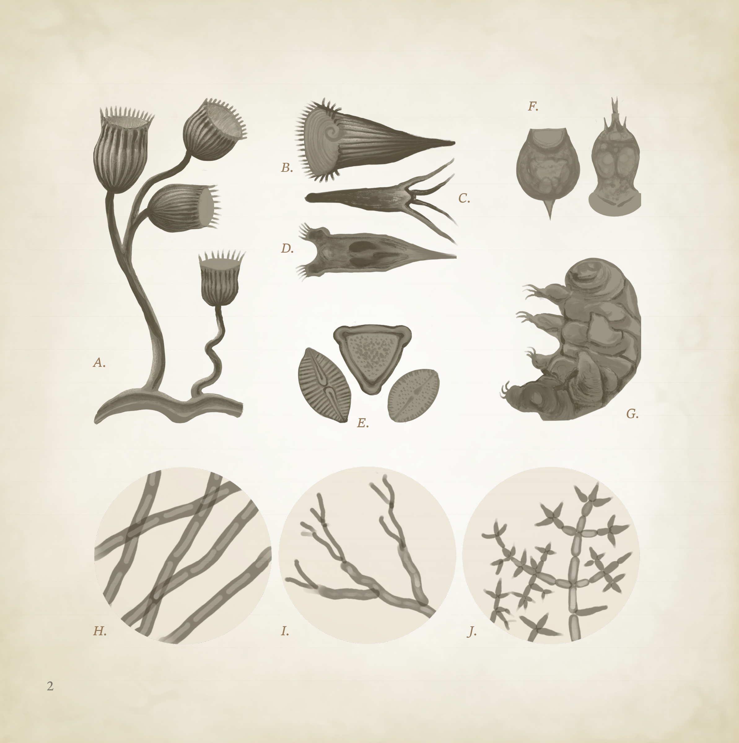 Book about Sourdough, Microbiology, and Citizen Science