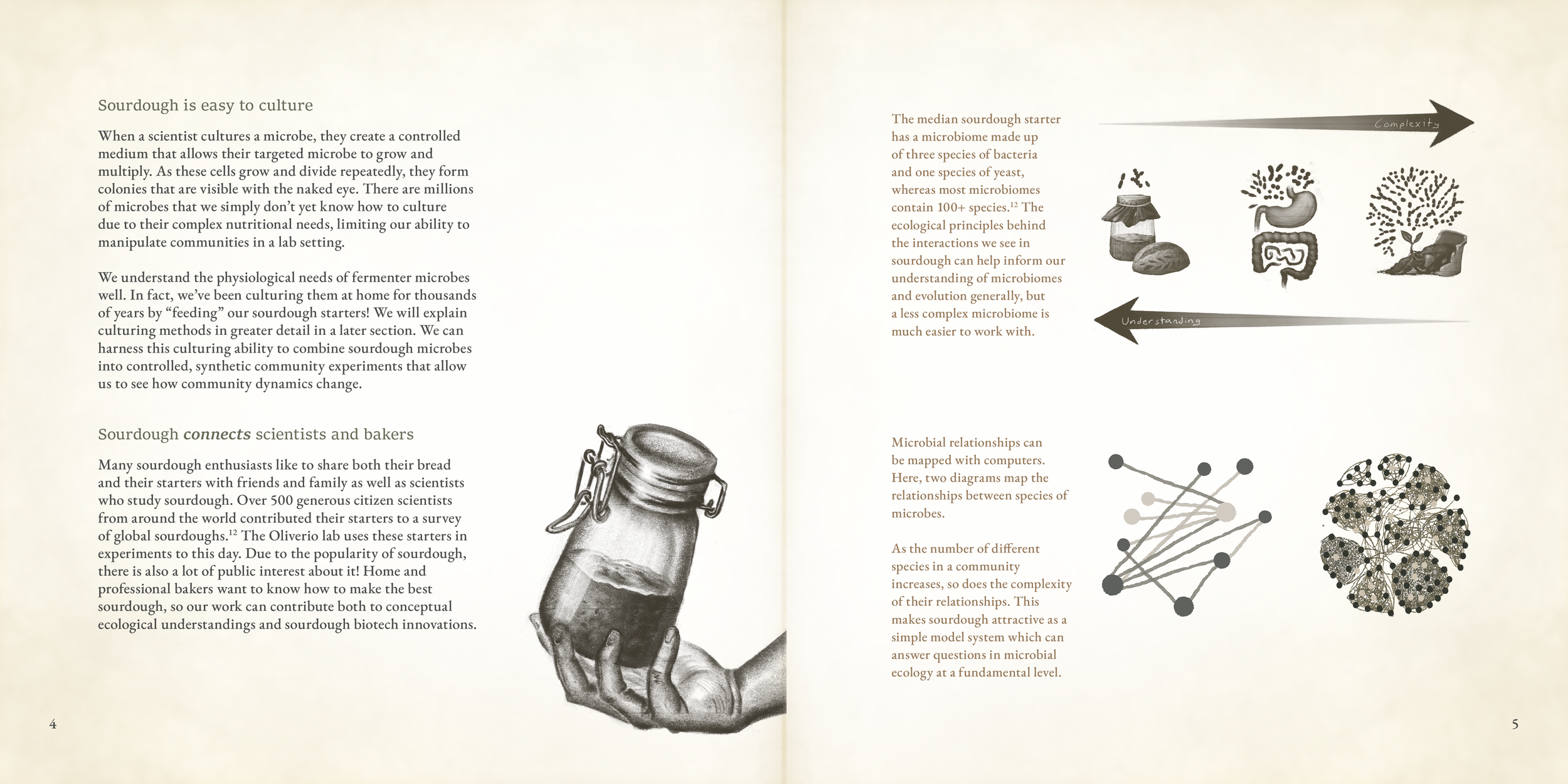 page 4-5.png