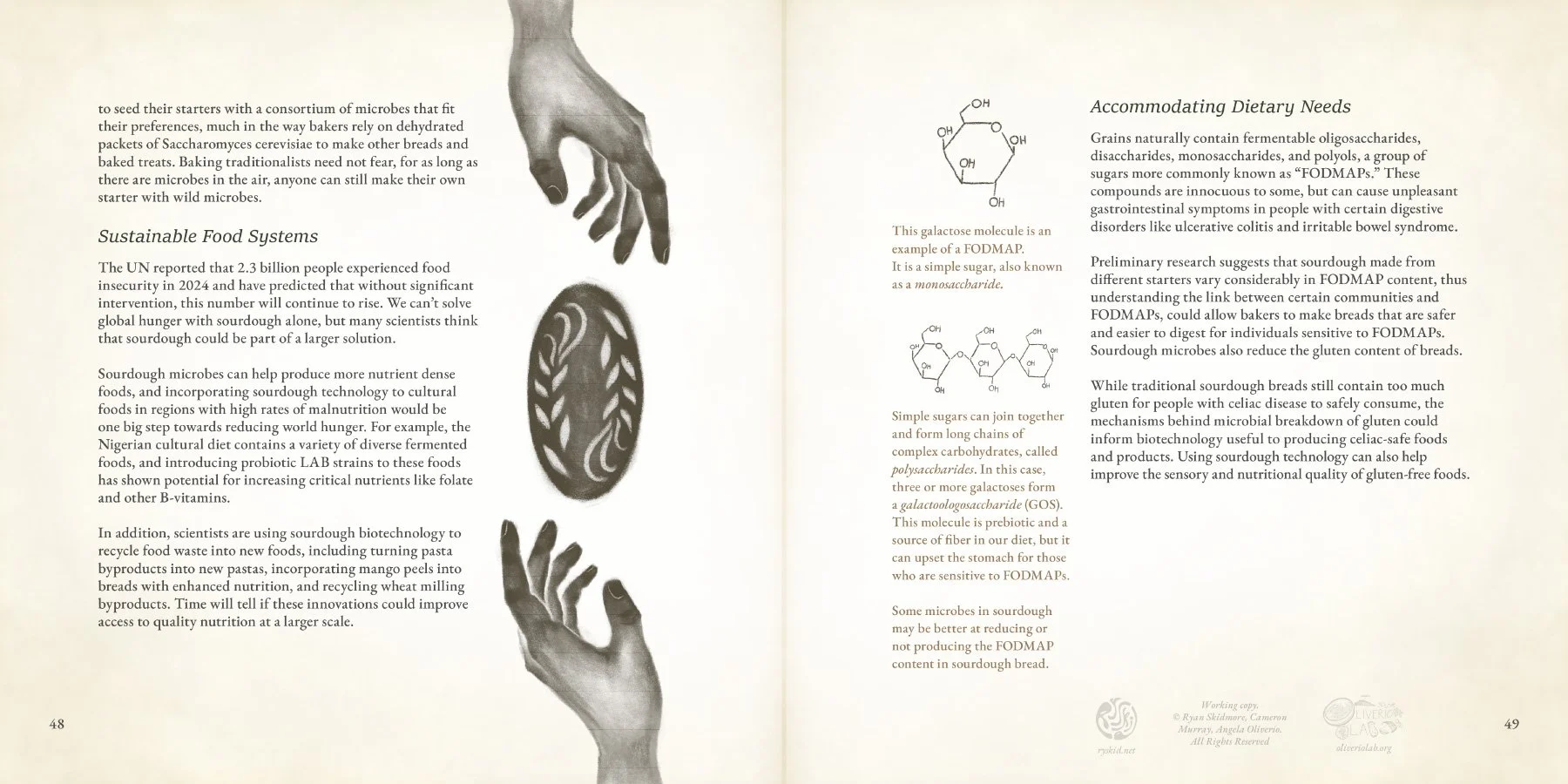 WATERMARKED low res-11 bread of the futures2.jpg
