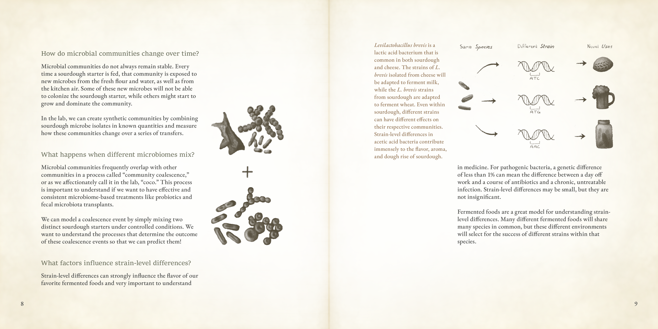page 8-9.png