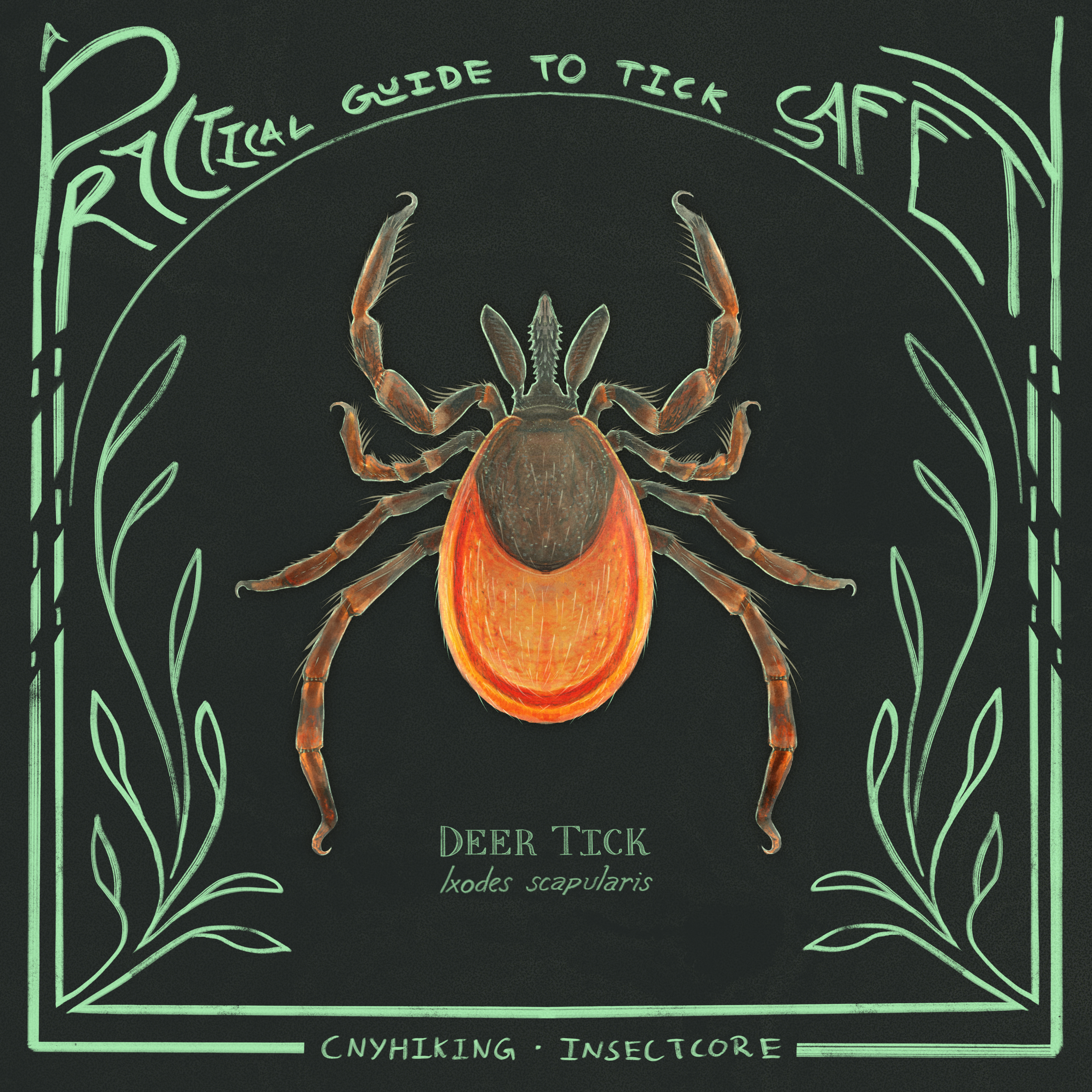 Tick Safety Booklet for Hikers