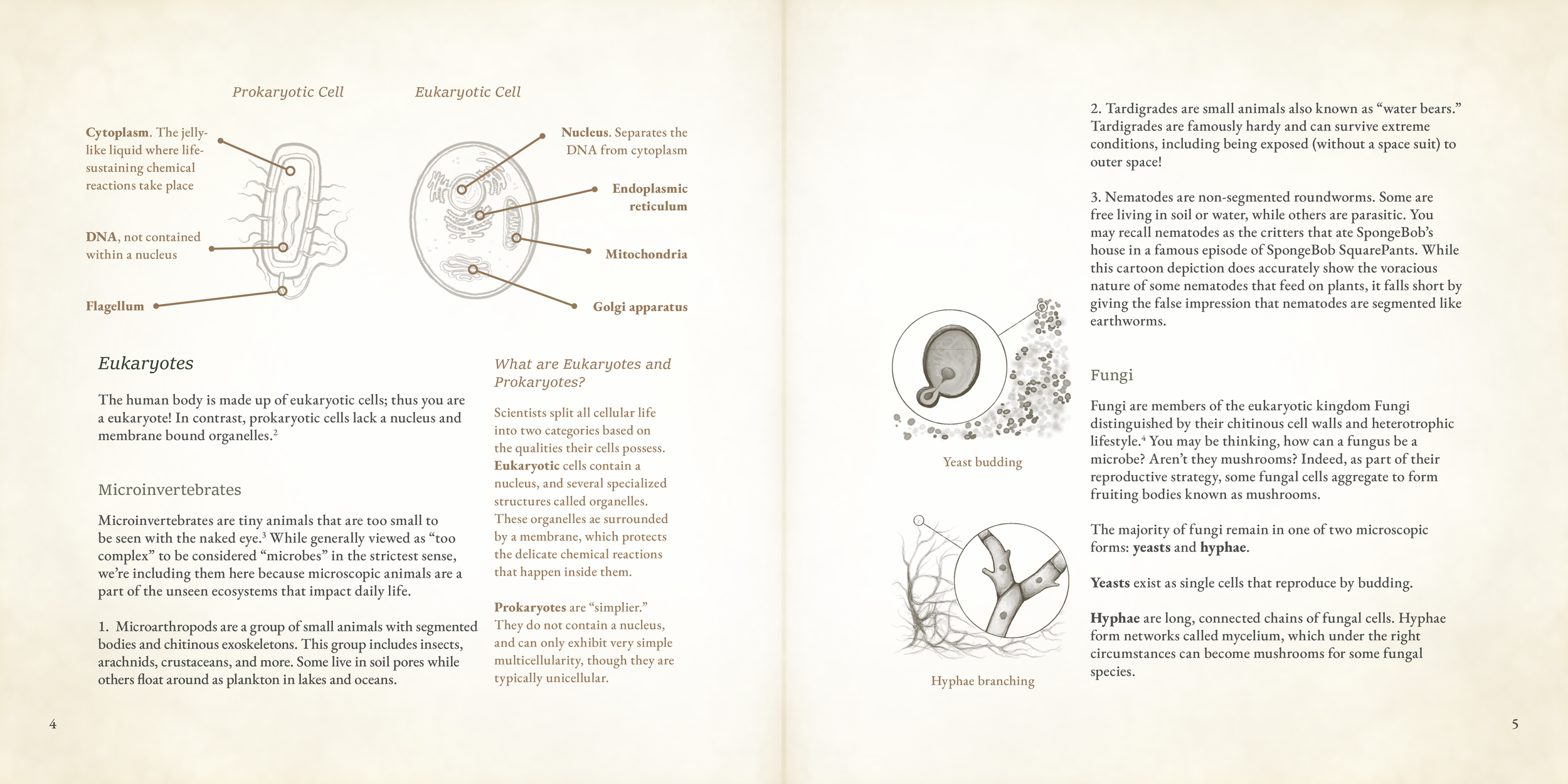 02 microbial world2.png