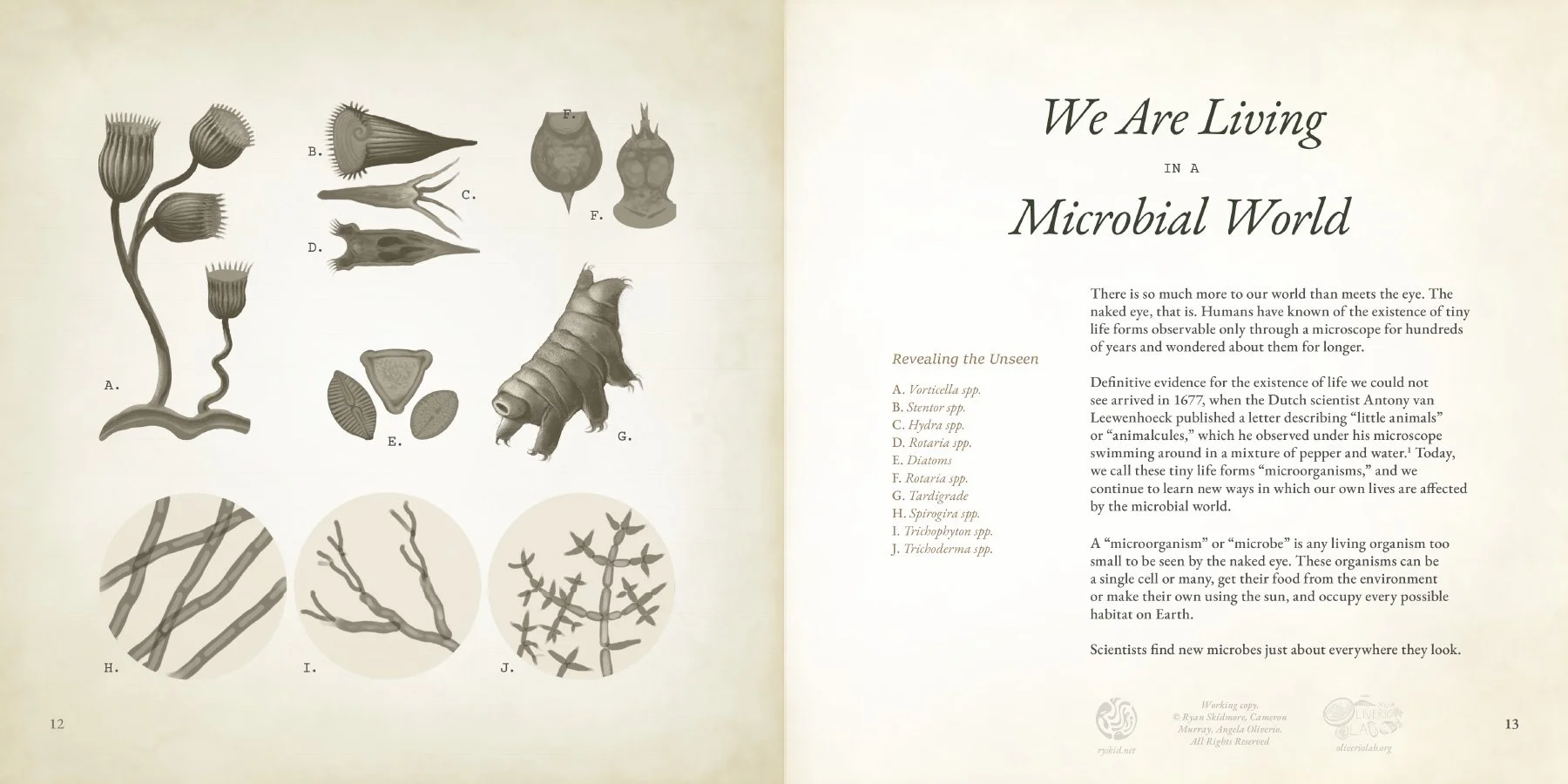 WATERMARKED low res-02 microbial world.jpg