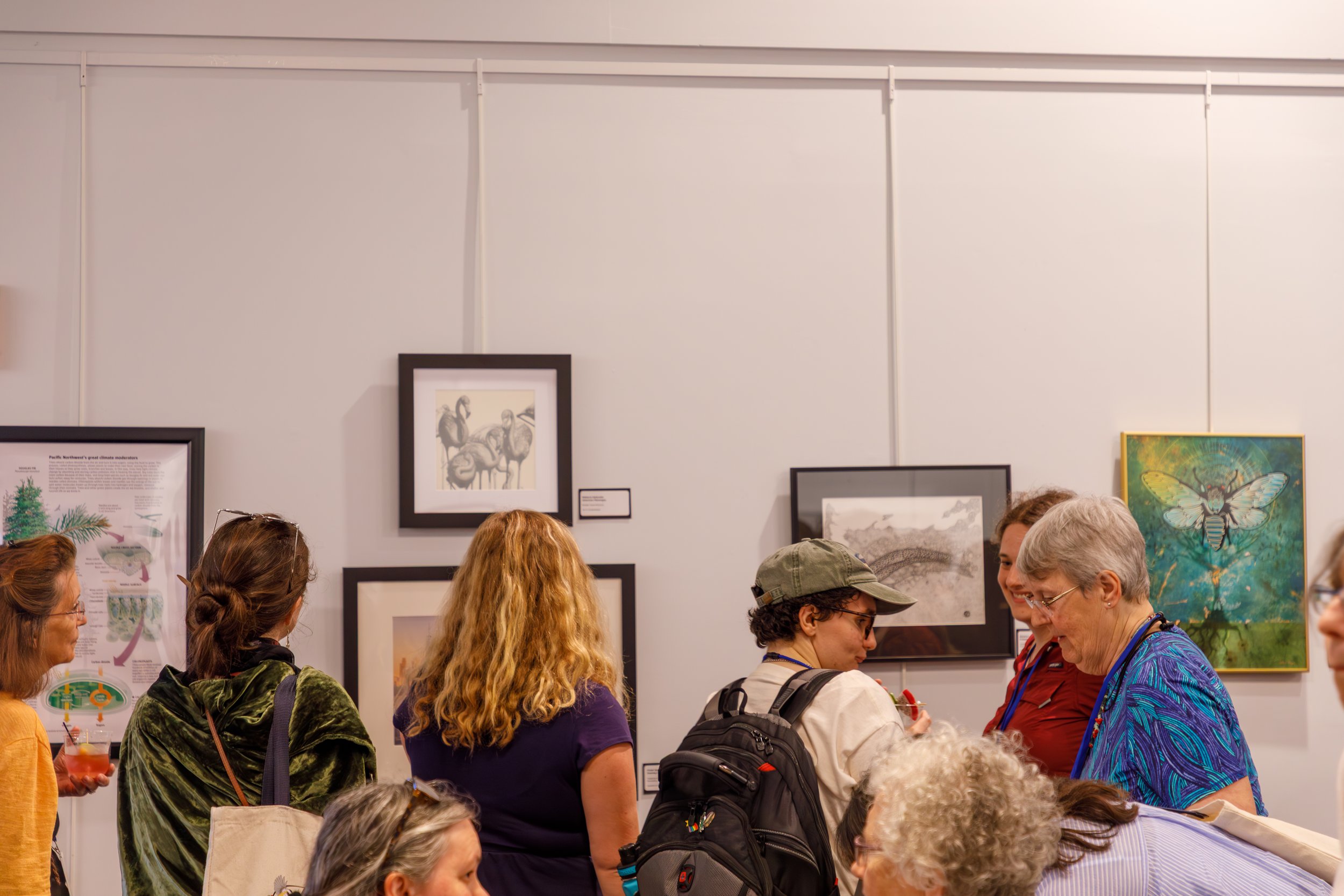 People gathered at an art exhibit, looking at framed artwork on the wall, including nature-themed and animal illustrations.