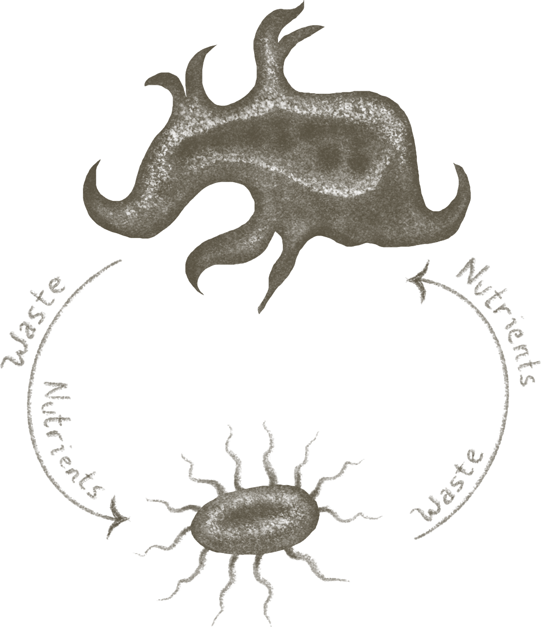 eco-interactions_0000_Positive.png