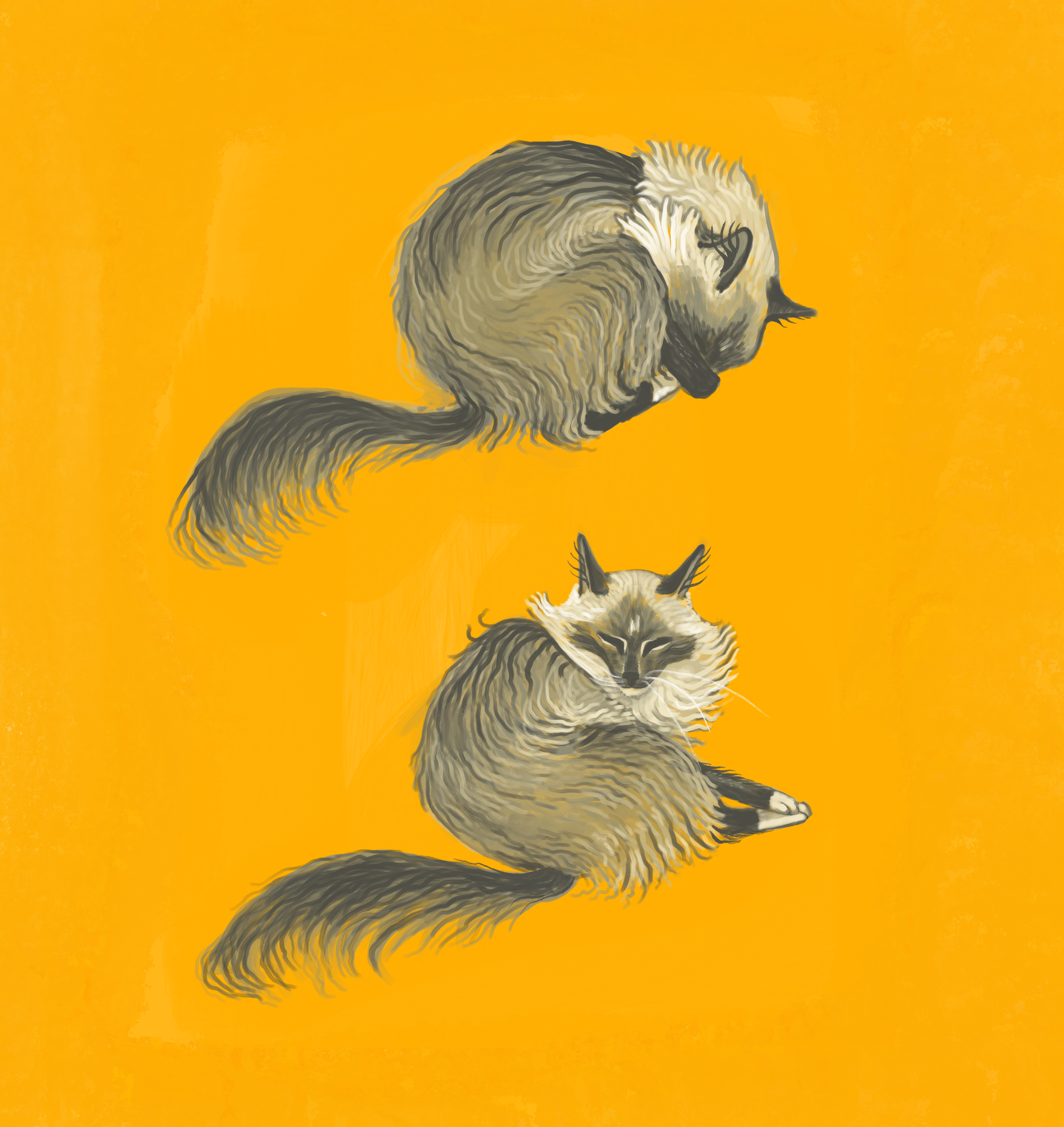 Painting of two sitting cats with cream, black, and gray fur against a yellow background.