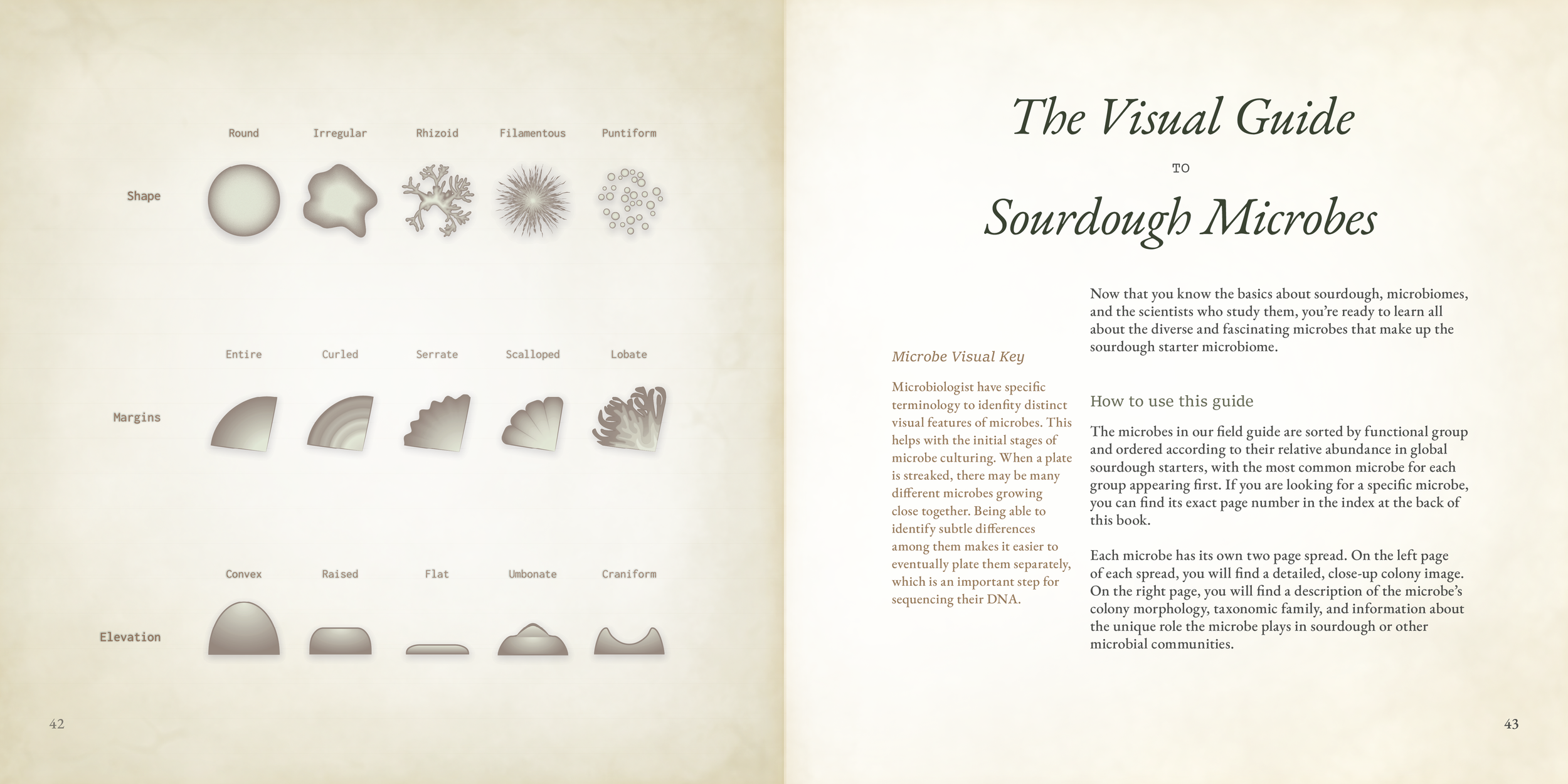 06.5 Field Guide Intro.png
